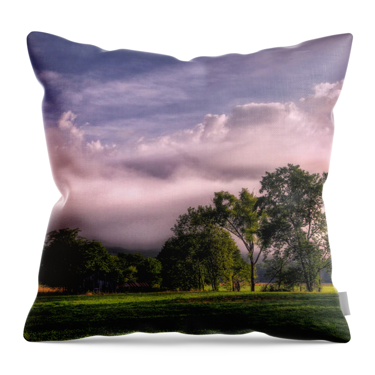 Hdr Throw Pillow featuring the photograph Old Barn in Boxley Valley by Michael Dougherty