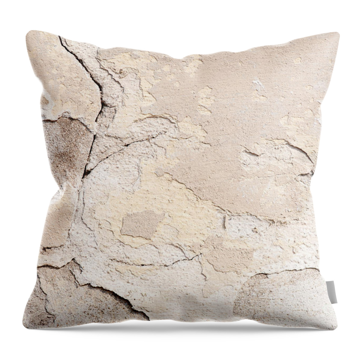 https://render.fineartamerica.com/images/rendered/default/throw-pillow/images/artworkimages/medium/1/old-cracked-paint-texture-broken-wall-abstract-arletta-cwalina.jpg?&targetx=-120&targety=0&imagewidth=719&imageheight=479&modelwidth=479&modelheight=479&backgroundcolor=B1A299&orientation=0&producttype=throwpillow-14-14