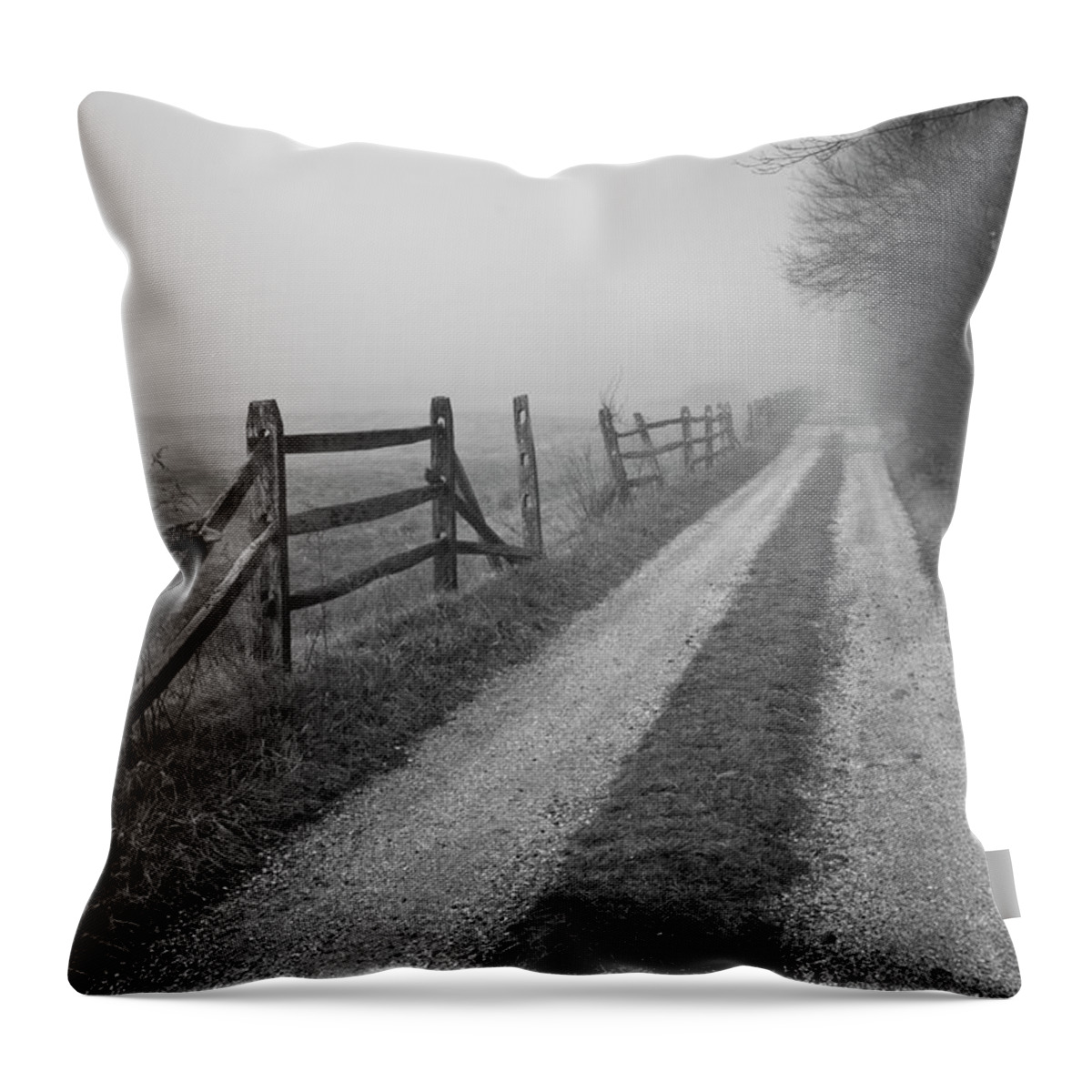 Old Throw Pillow featuring the photograph Old Farm Road by David Gordon