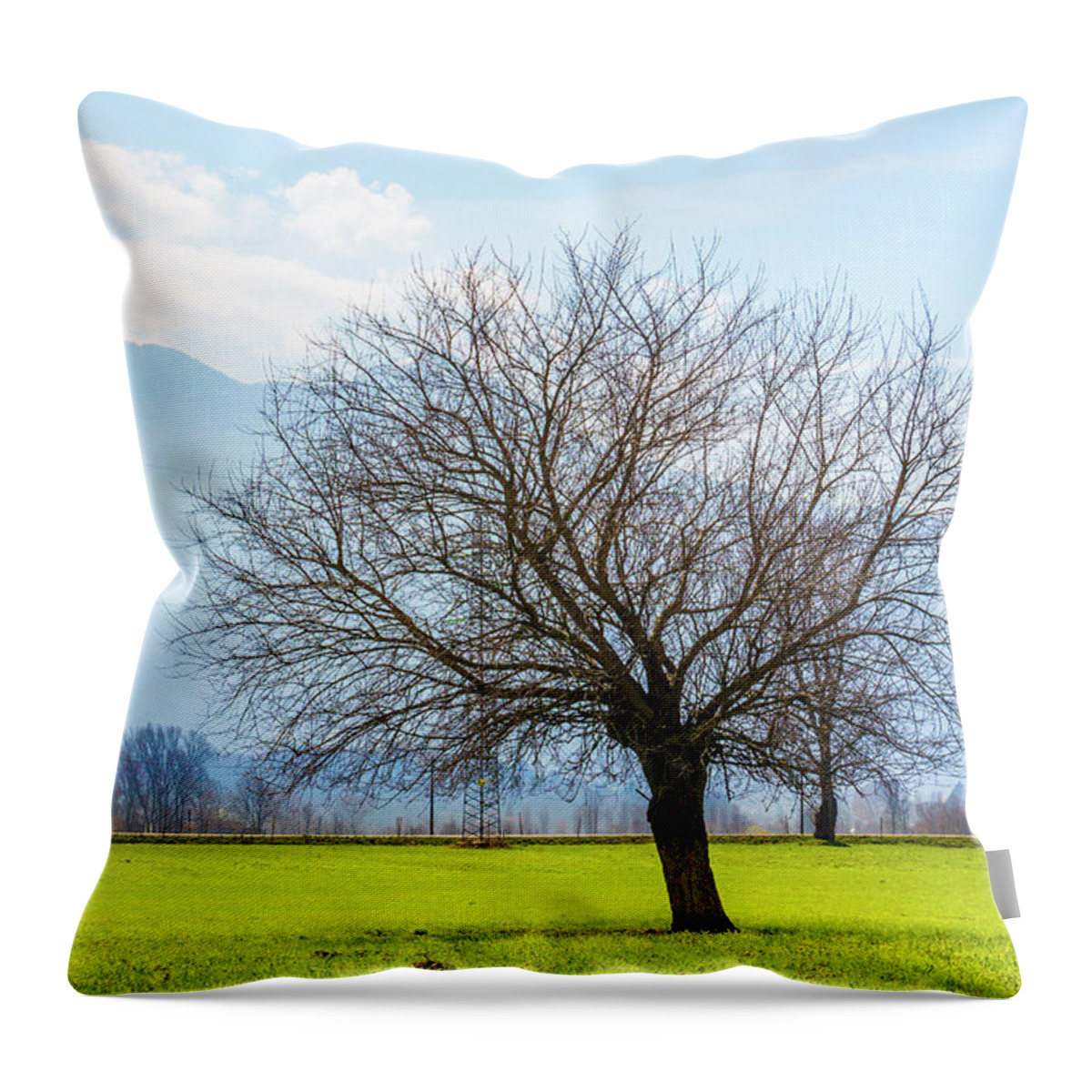 Dubino Throw Pillow featuring the photograph Old Tree by Pavel Melnikov
