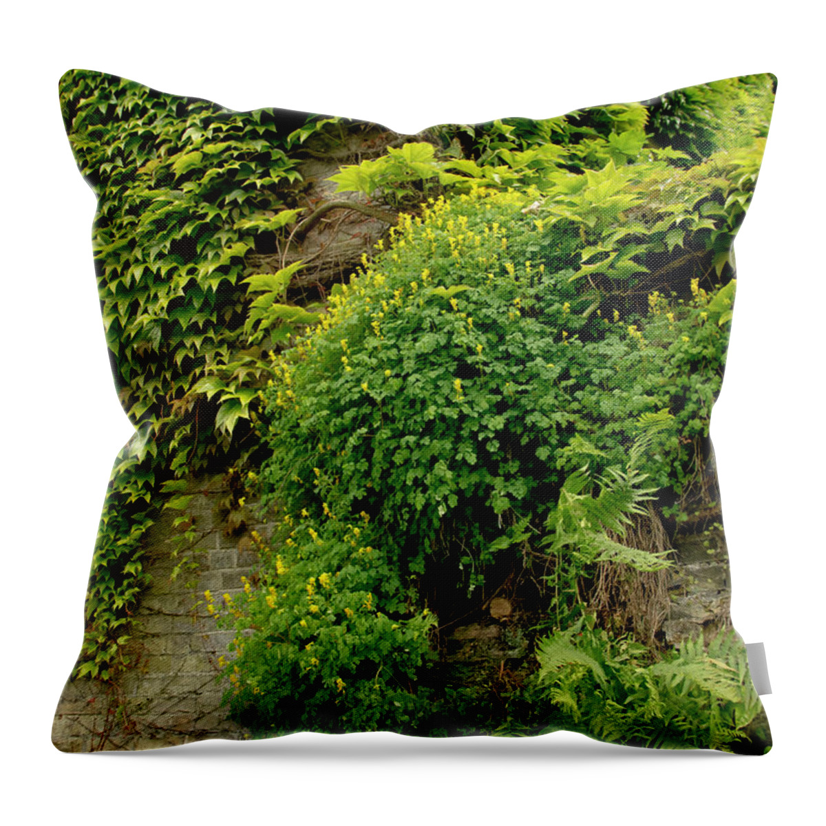 Walls Throw Pillow featuring the photograph Old walls rising from the water edge. by Elena Perelman