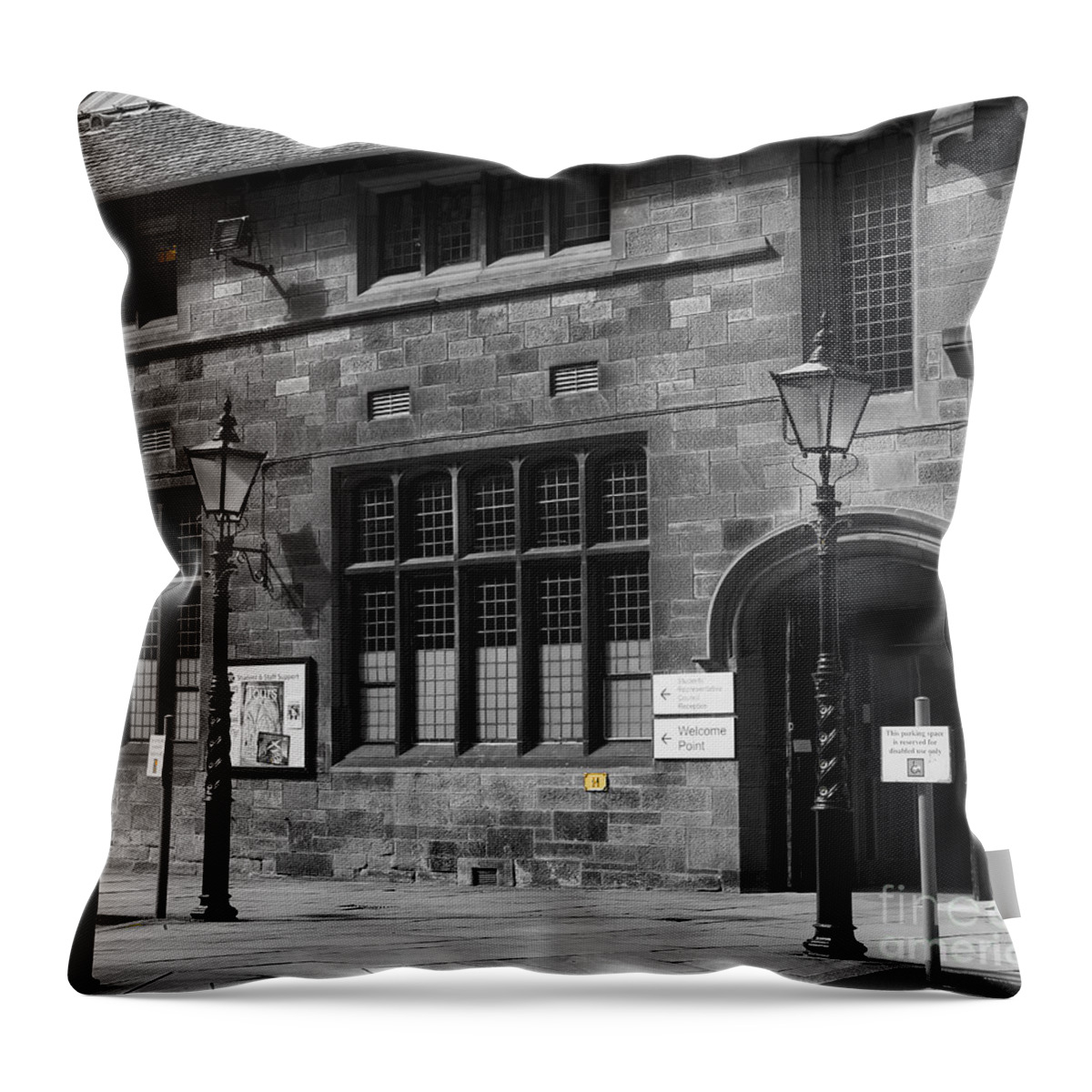 Lamppost Throw Pillow featuring the photograph On guard. by Elena Perelman