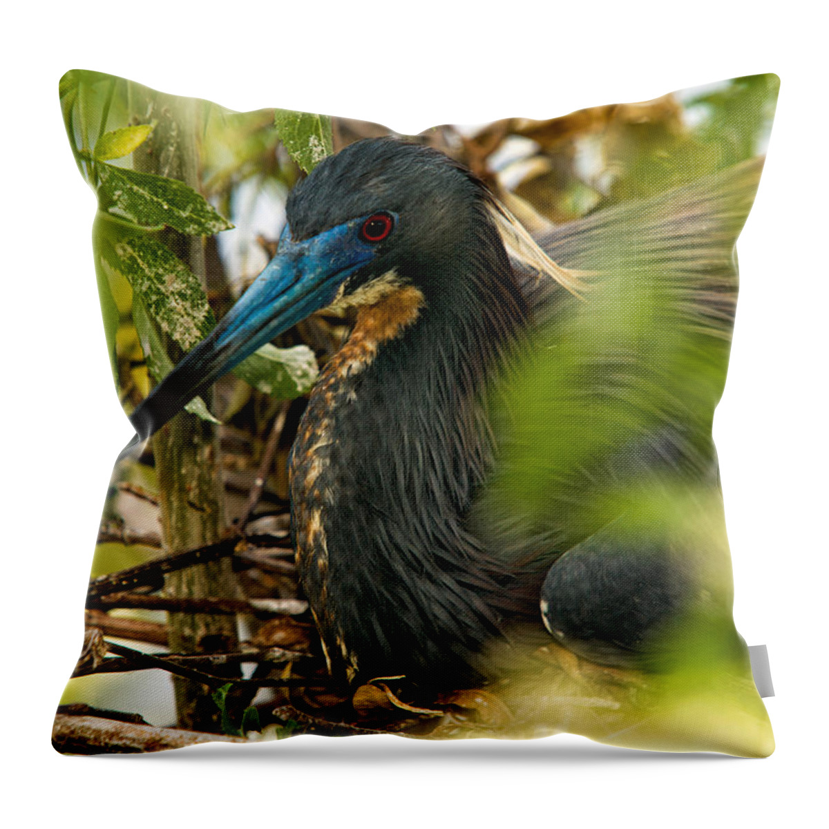 Tri-color Heron Throw Pillow featuring the photograph On The Nest by Christopher Holmes