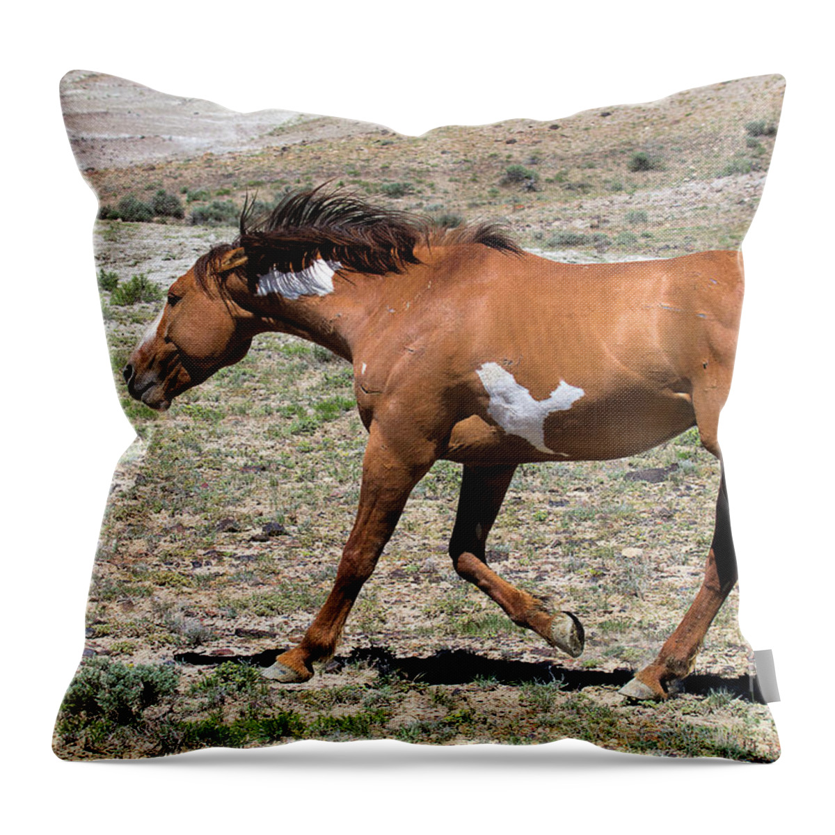 Wild Stallions Throw Pillow featuring the photograph On the Prod by Jim Garrison