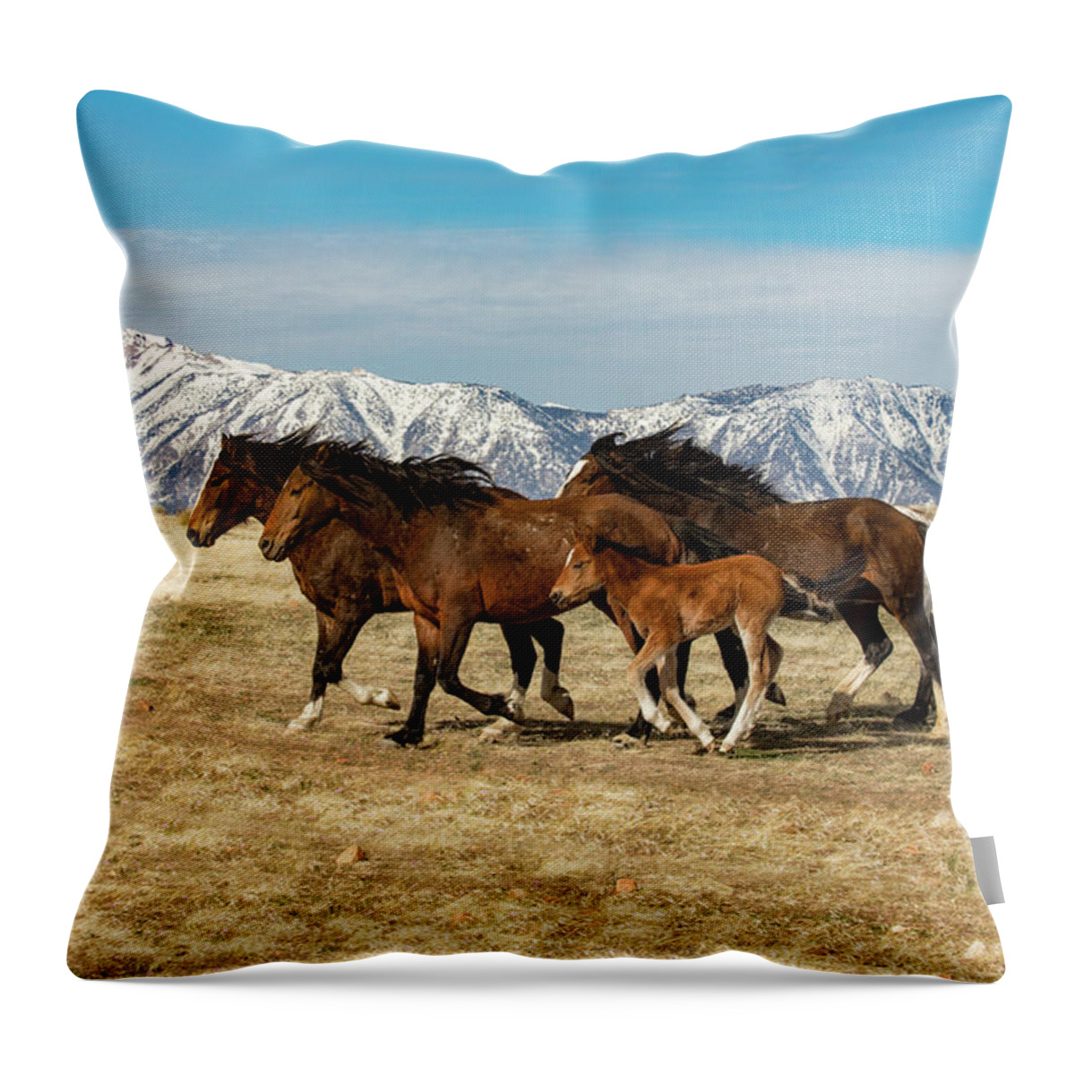  Throw Pillow featuring the photograph On the run by John T Humphrey