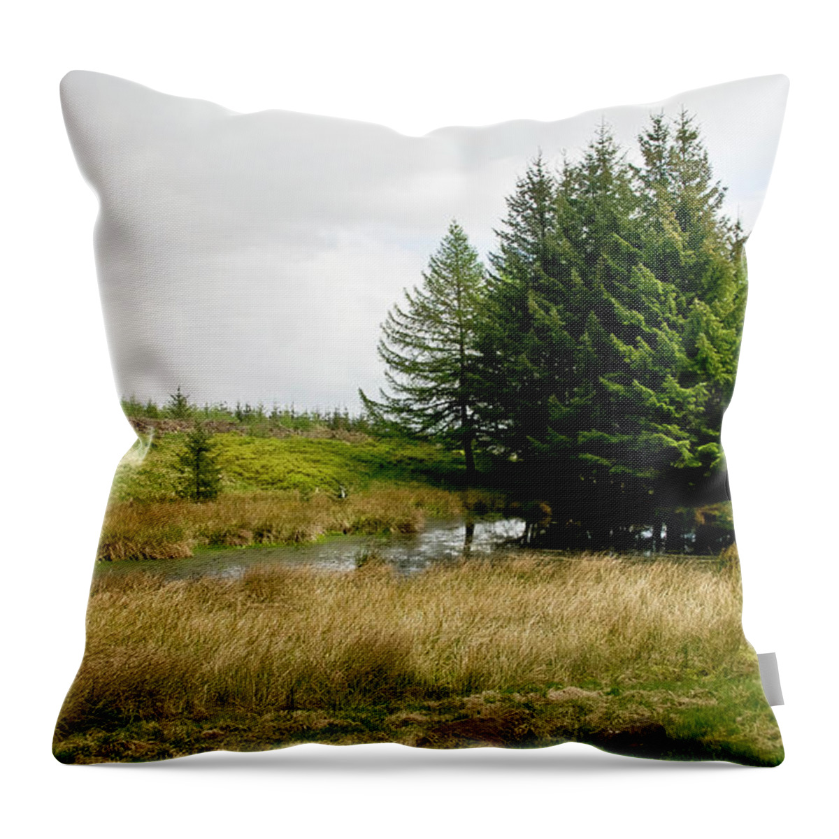 Woods Throw Pillow featuring the photograph On the Woodland edge by Elena Perelman