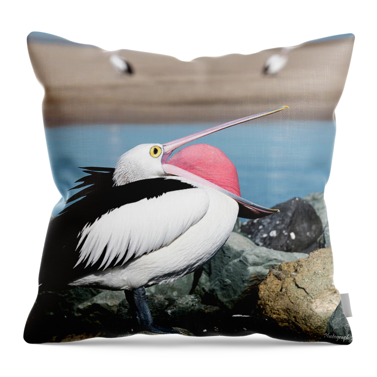 Pelicans Throw Pillow featuring the digital art Open wide 61063 by Kevin Chippindall