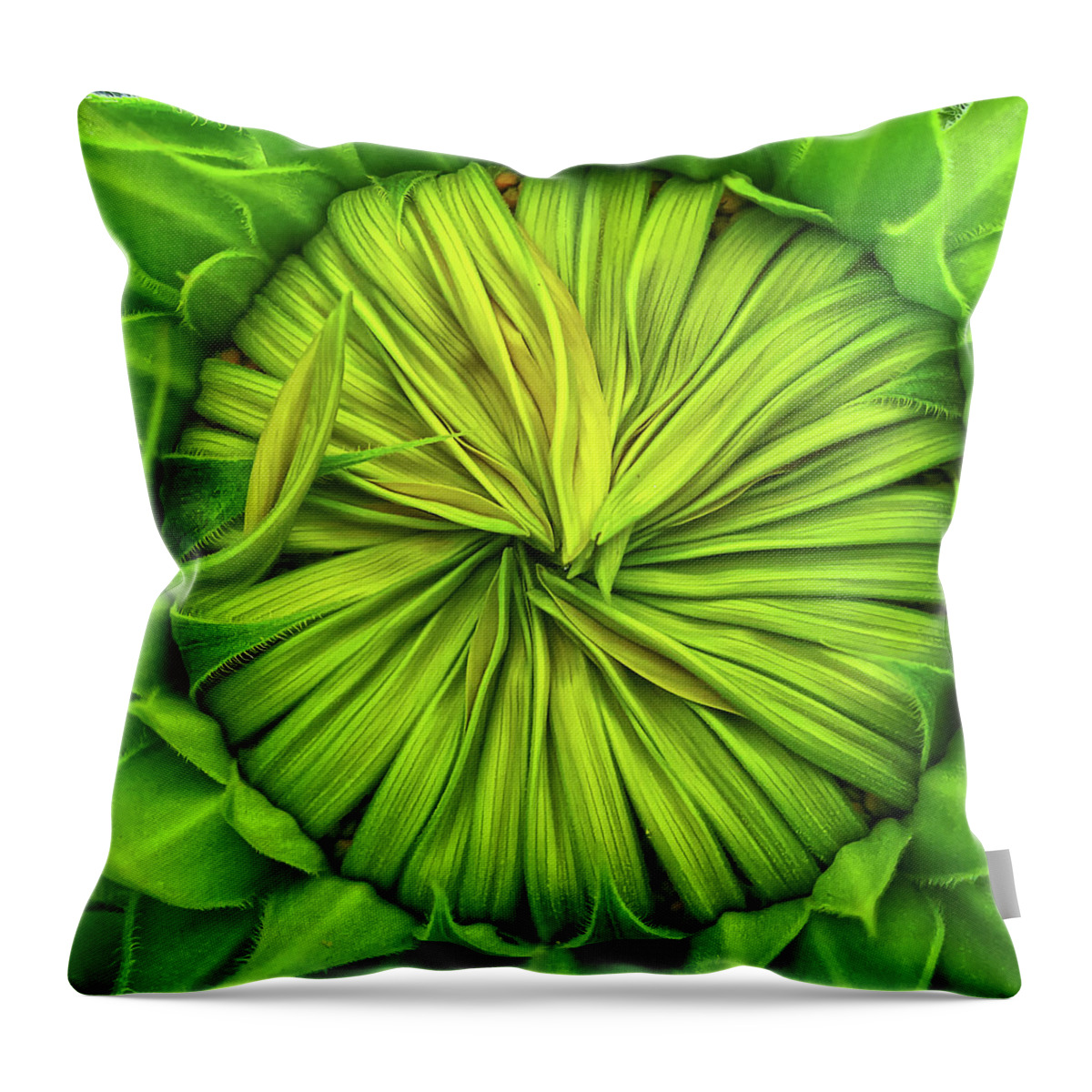 Sunflower Throw Pillow featuring the photograph Opening soon by Tatiana Travelways