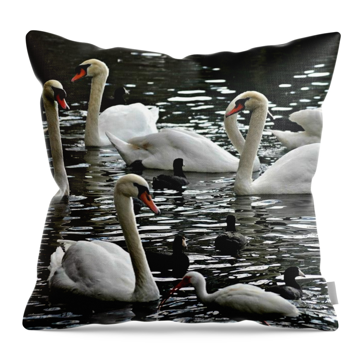 Swans Throw Pillow featuring the photograph Opposites Attract by Carolyn Mickulas