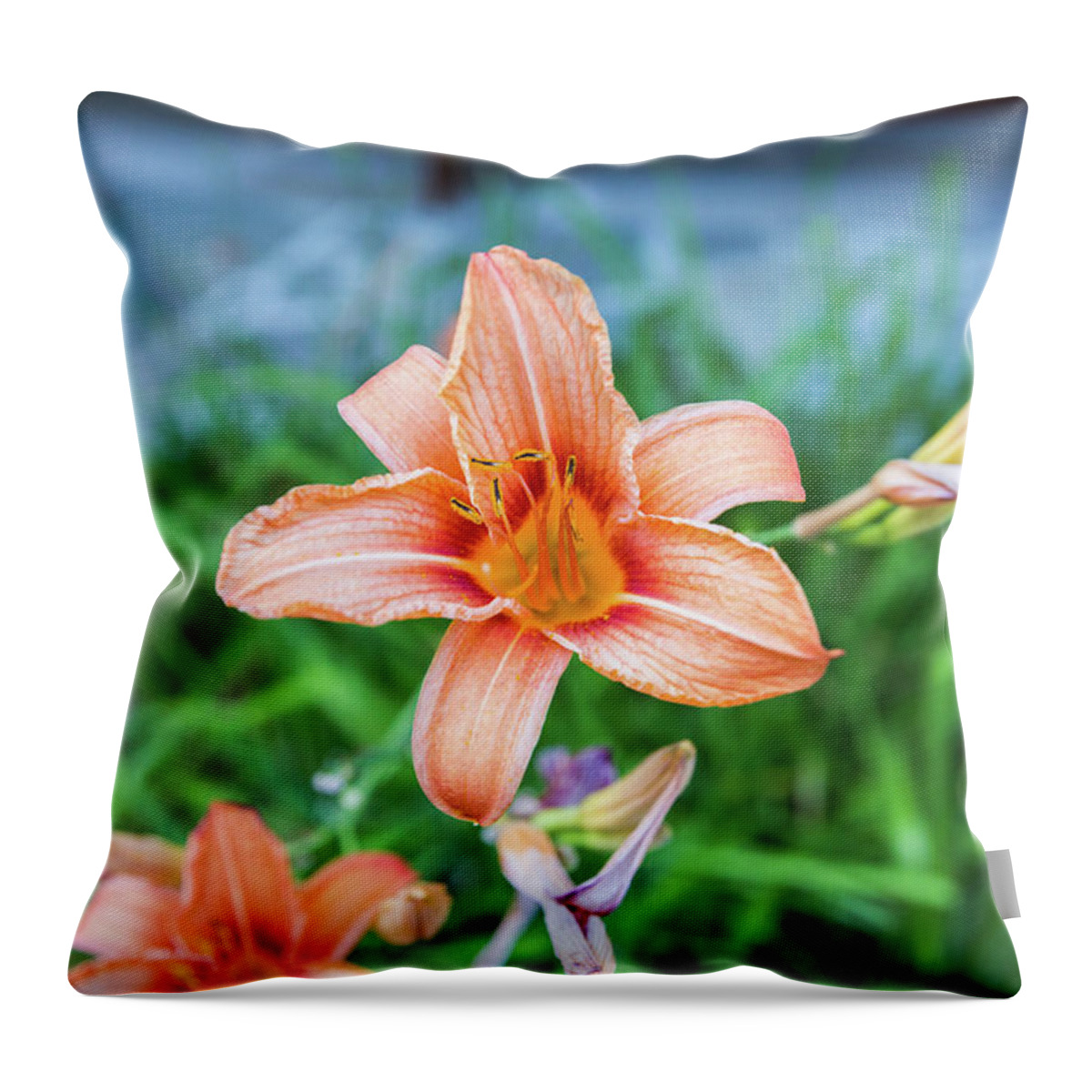 Flower Throw Pillow featuring the photograph Orange Daylily by D K Wall