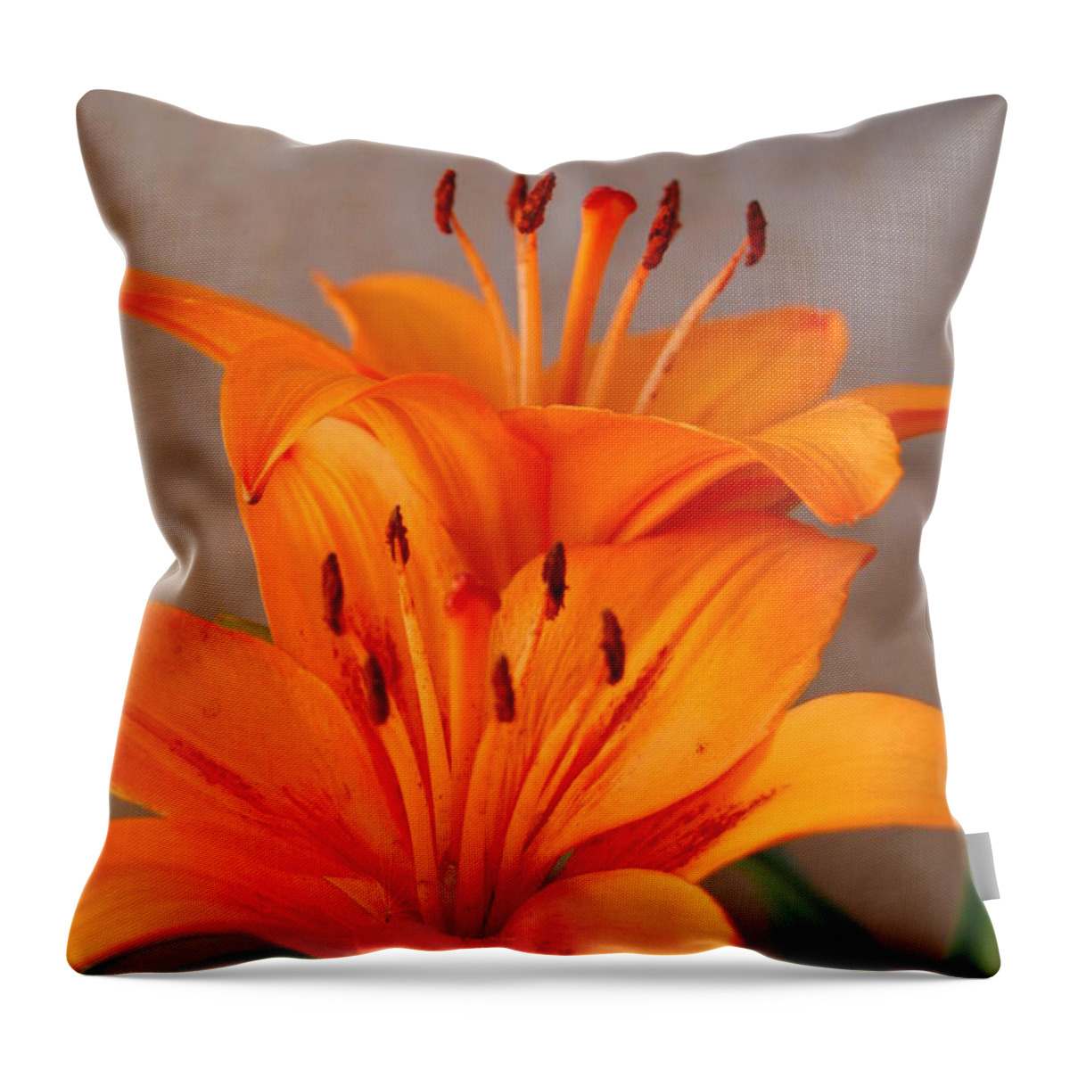 Flower Throw Pillow featuring the photograph Orange Lilies 3 by Amy Fose