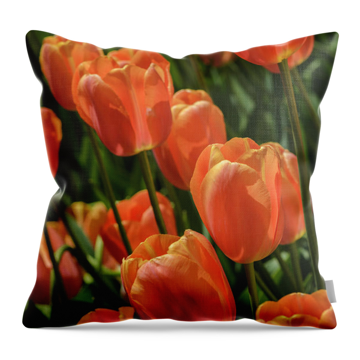 Orange Throw Pillow featuring the photograph Orange Tulips by Tamara Becker