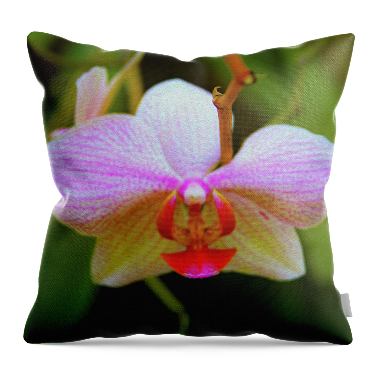 Bonnie Follett Throw Pillow featuring the photograph Orchid Blush by Bonnie Follett
