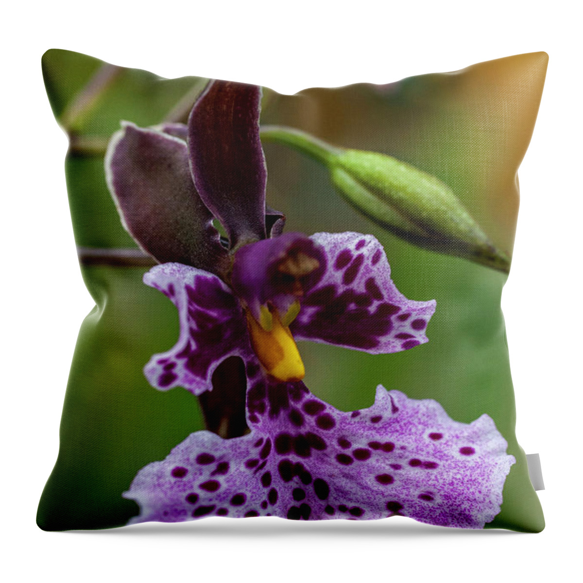 Orchid Throw Pillow featuring the photograph Orchid - Caucaea rhodosticta by Heiko Koehrer-Wagner