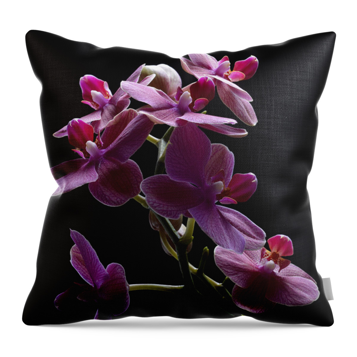 Orchid Throw Pillow featuring the photograph Orchid in flight by Robert WK Clark