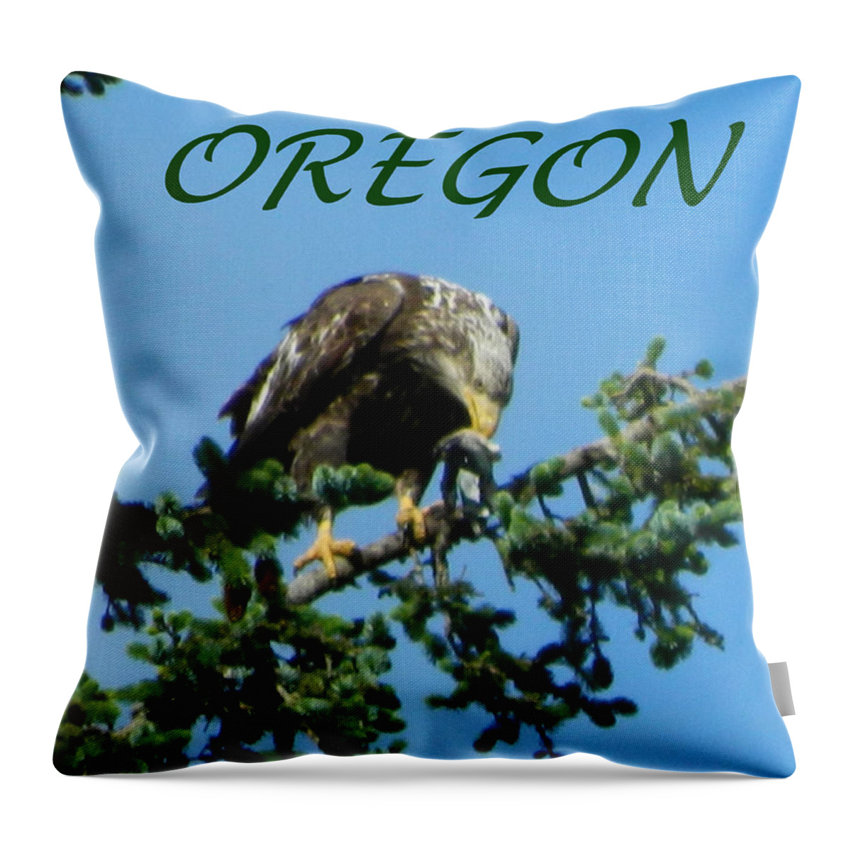 Eagles Throw Pillow featuring the photograph Oregon Eagle with Bird by Gallery Of Hope 