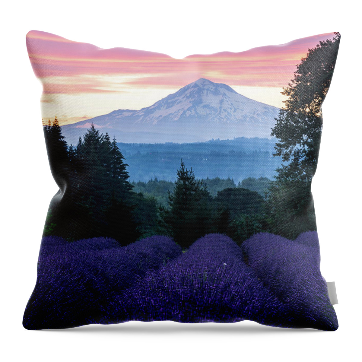 Plant;lavender;farm;mt Hood;oregon Lavender Farm Throw Pillow featuring the digital art Oregon Lavender Farm by Michael Lee