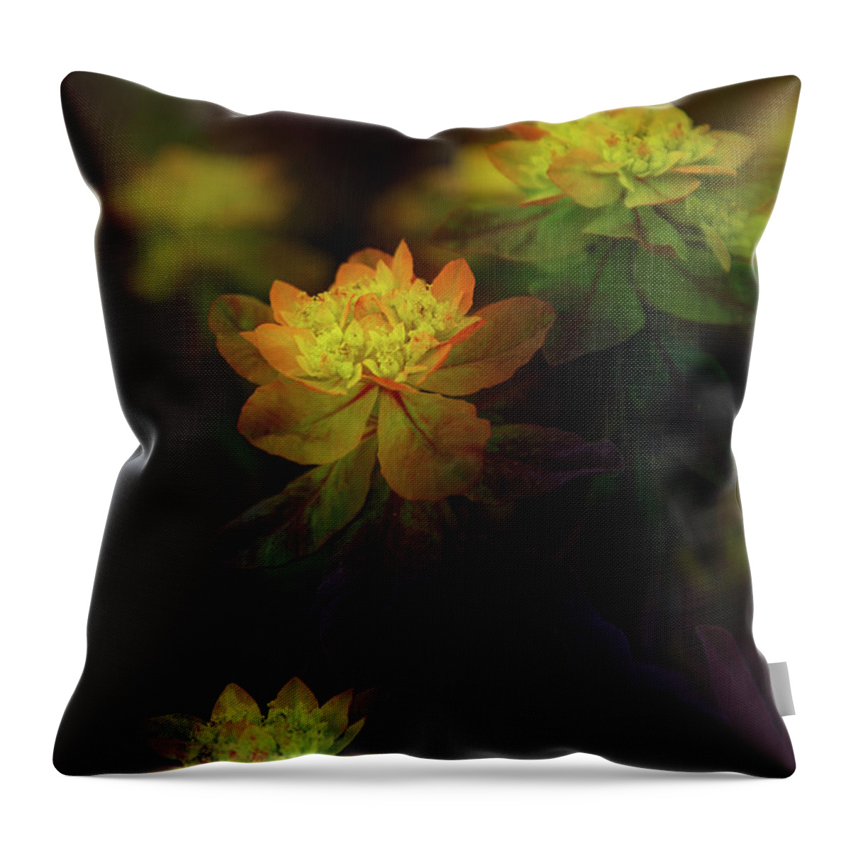 John Strong Arts Throw Pillow featuring the photograph Out of Darkness by John Strong