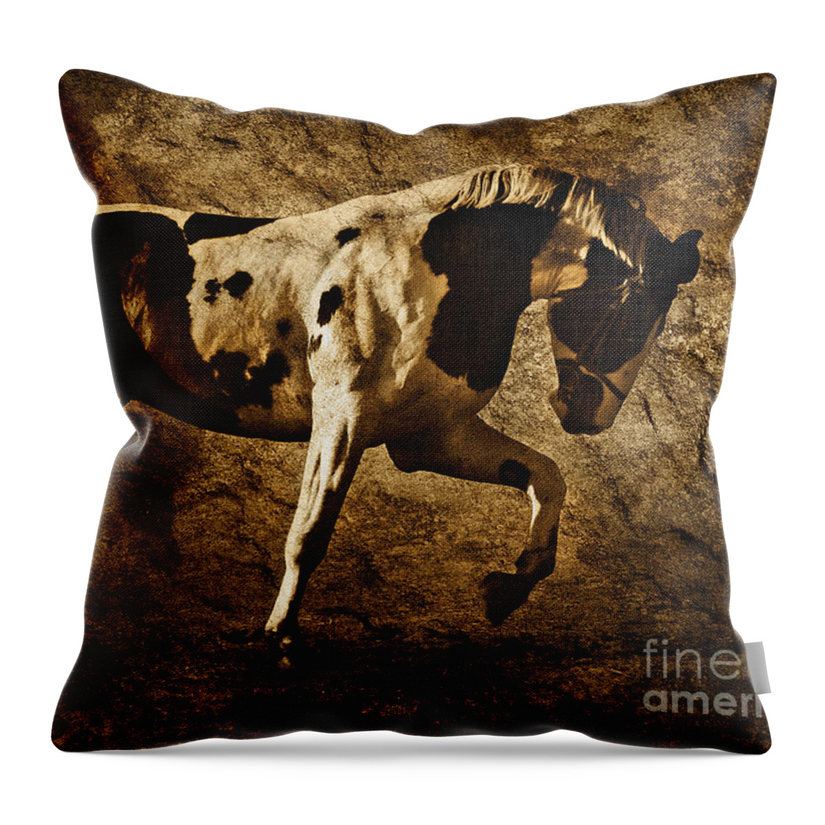 Horse Throw Pillow featuring the photograph Paint horse by Dimitar Hristov