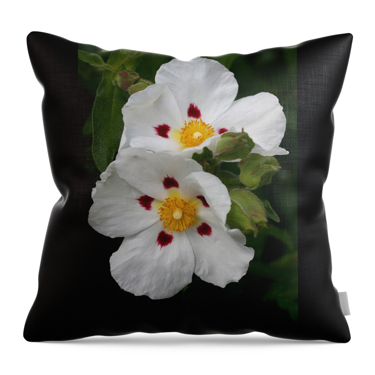 Botanical Throw Pillow featuring the photograph Painted Crepe by Tammy Pool