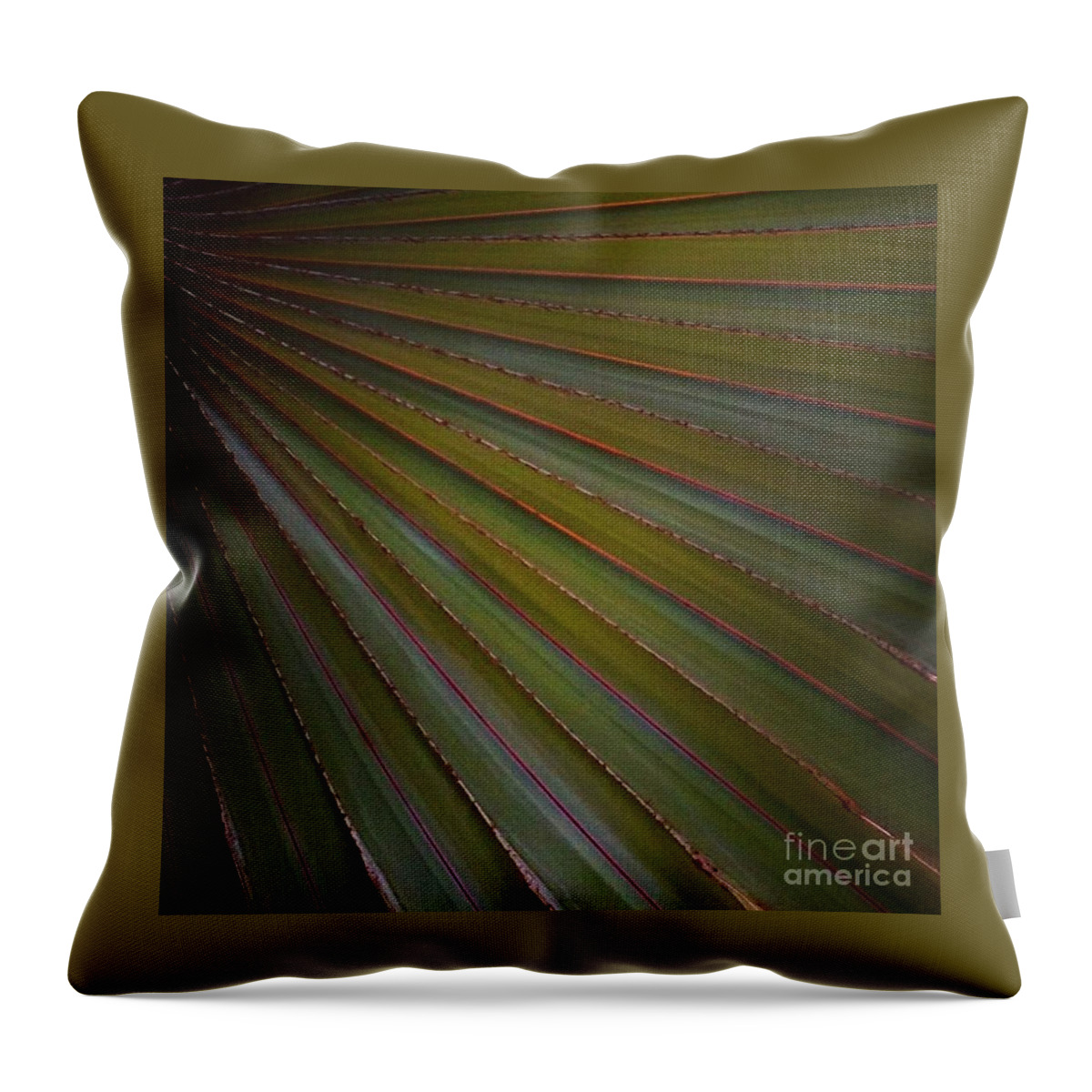 Palm Throw Pillow featuring the photograph Palm by Denise Railey