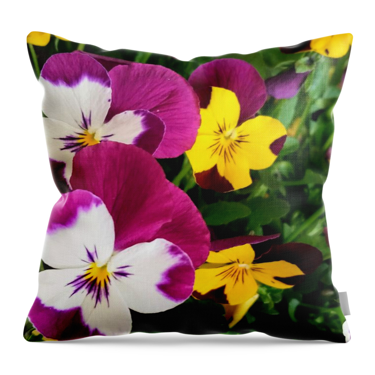 Flowers Throw Pillow featuring the photograph Pansies by Valerie Josi