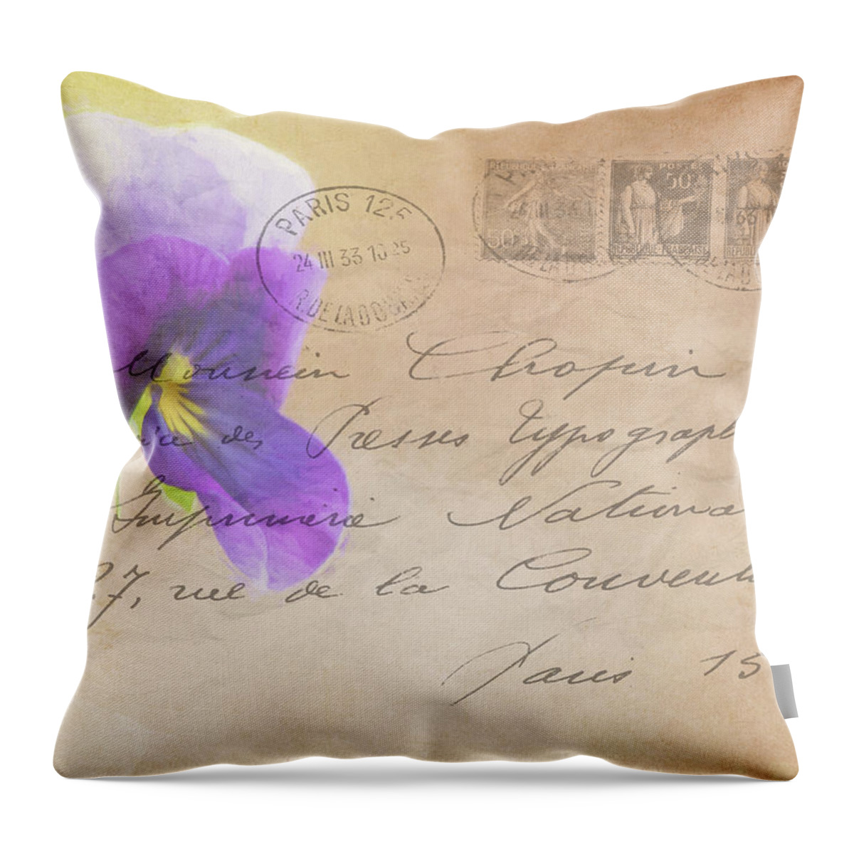 Pansy Throw Pillow featuring the photograph Pansy Postcard by Cathy Kovarik