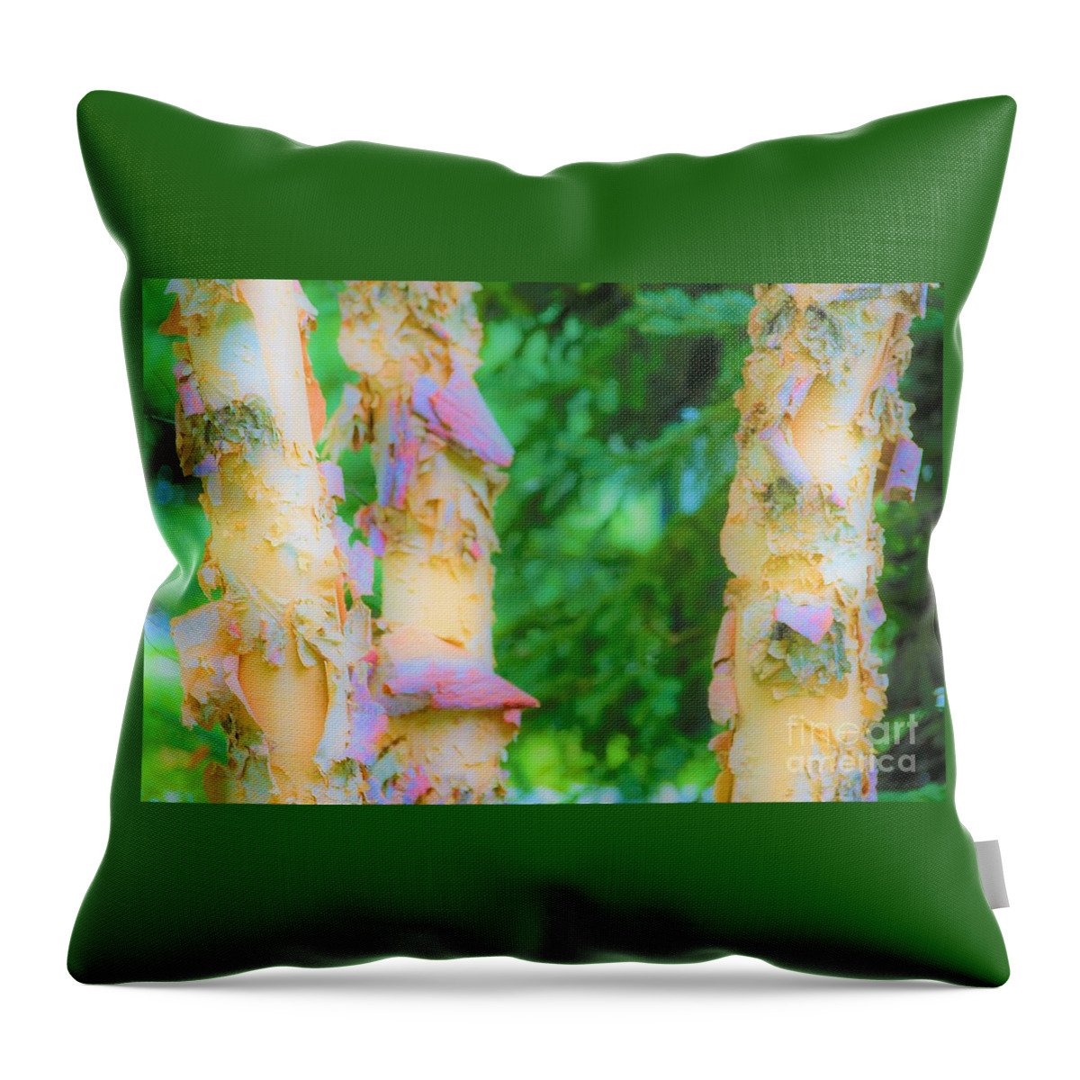 Trees Throw Pillow featuring the photograph Paper thin Bark by Merle Grenz