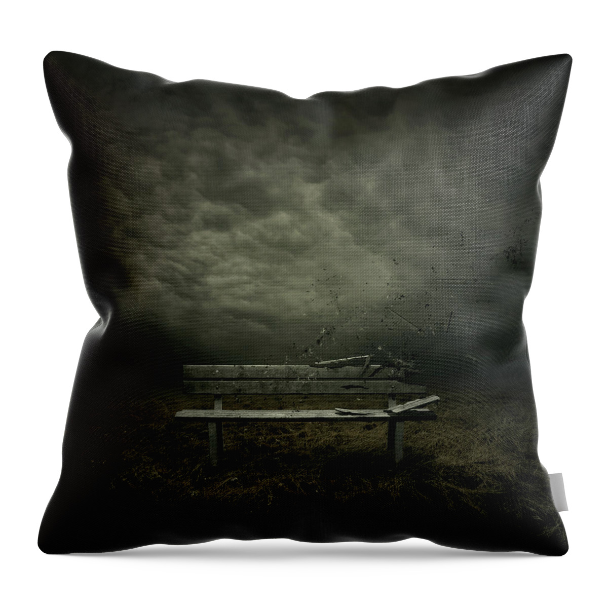 Bench Throw Pillow featuring the digital art Passing by Zoltan Toth