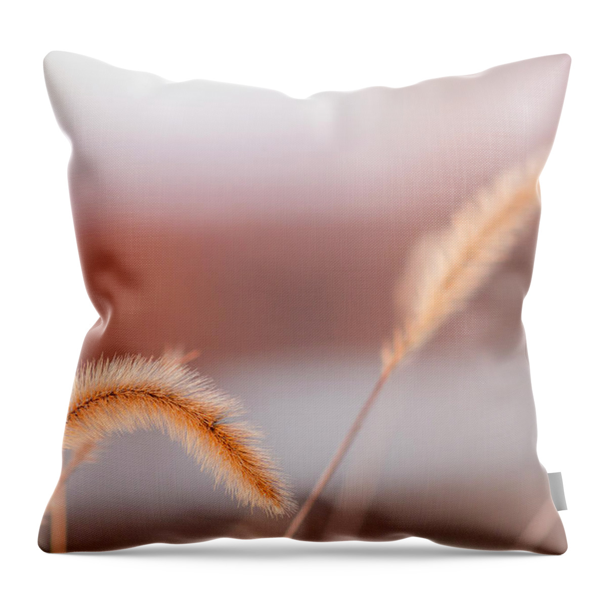 Weeds Throw Pillow featuring the photograph Pastel Sunset by Holly Ross