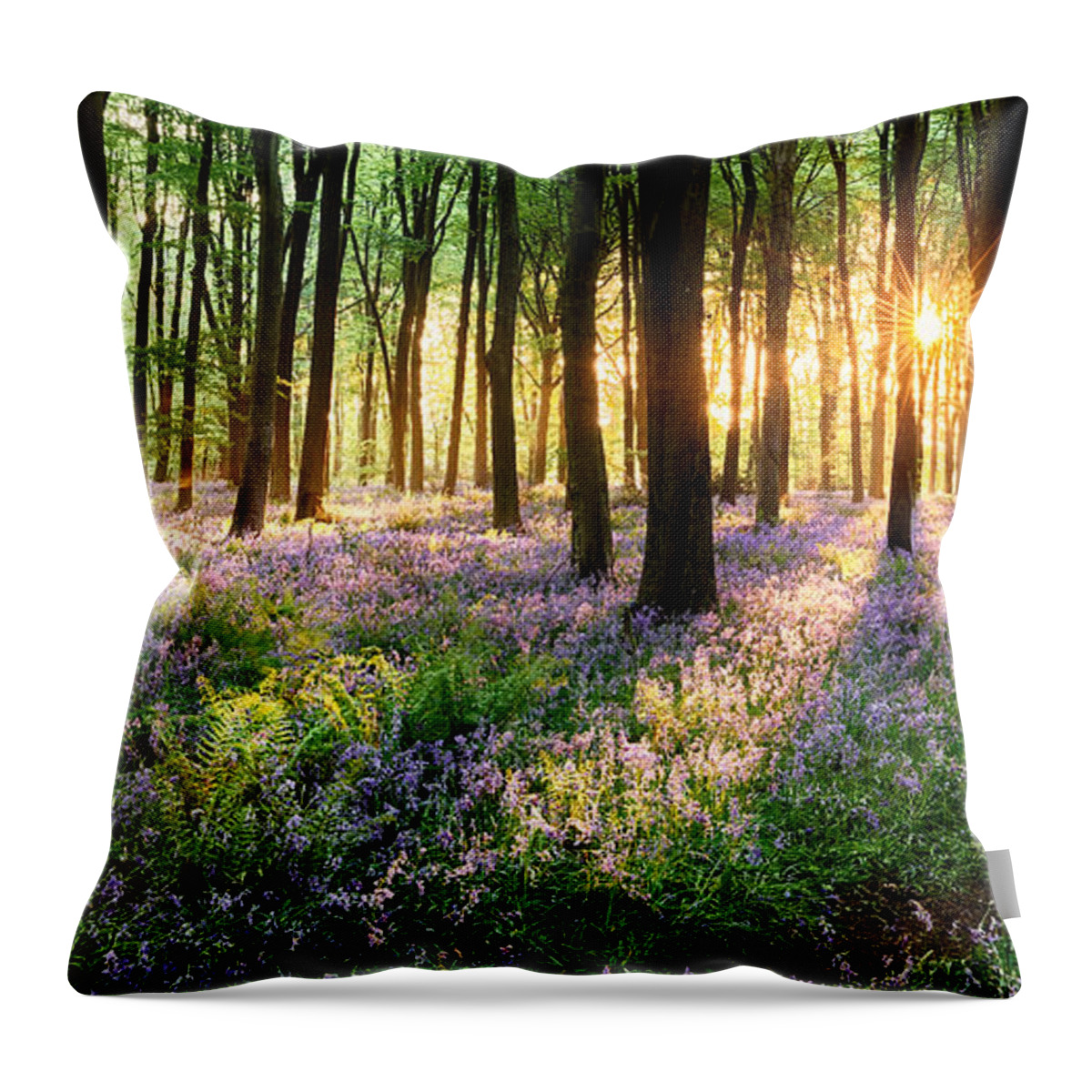 Flower Throw Pillow featuring the photograph English bluebell woodland path by Simon Bratt