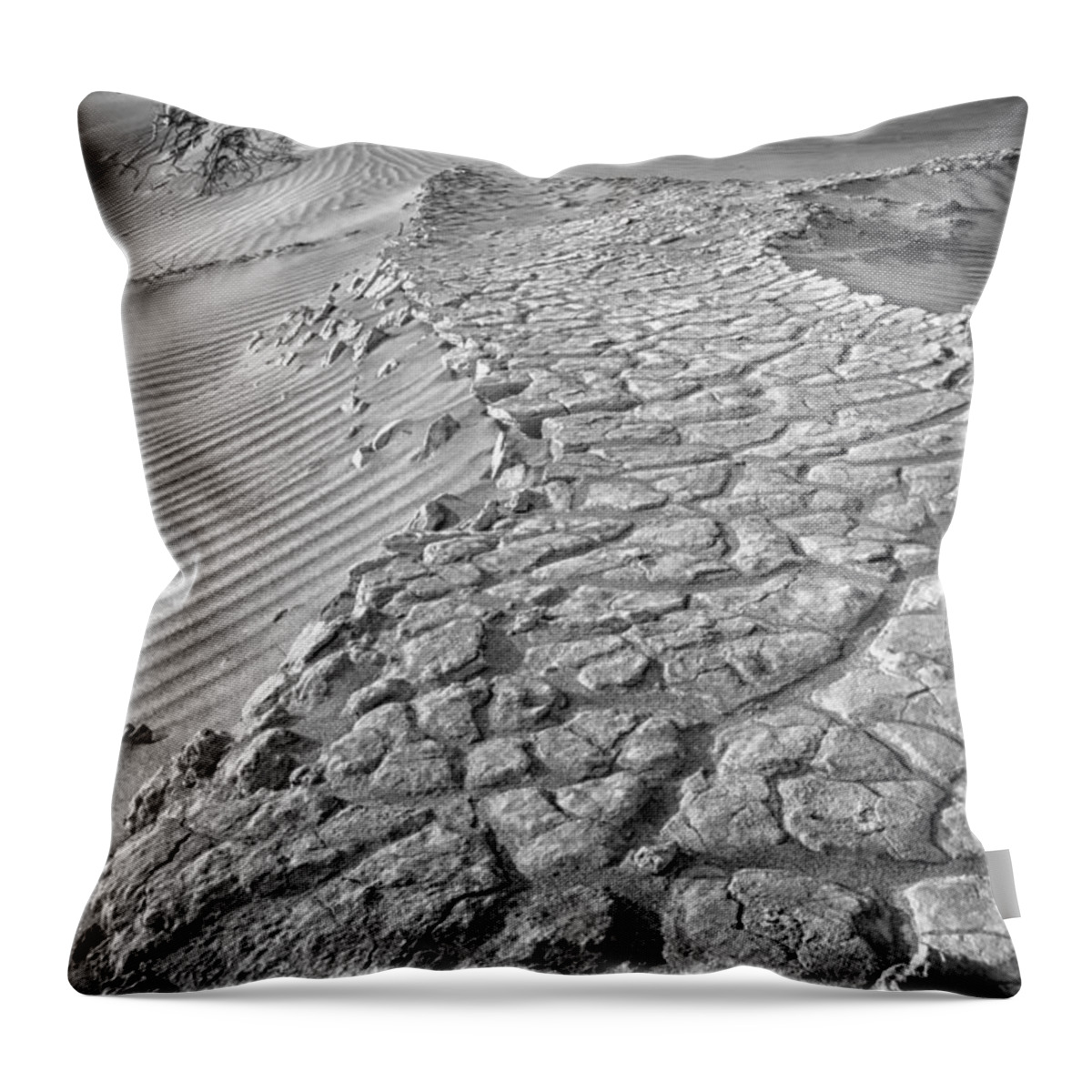 Crystal Yingling Throw Pillow featuring the photograph Pathway by Ghostwinds Photography