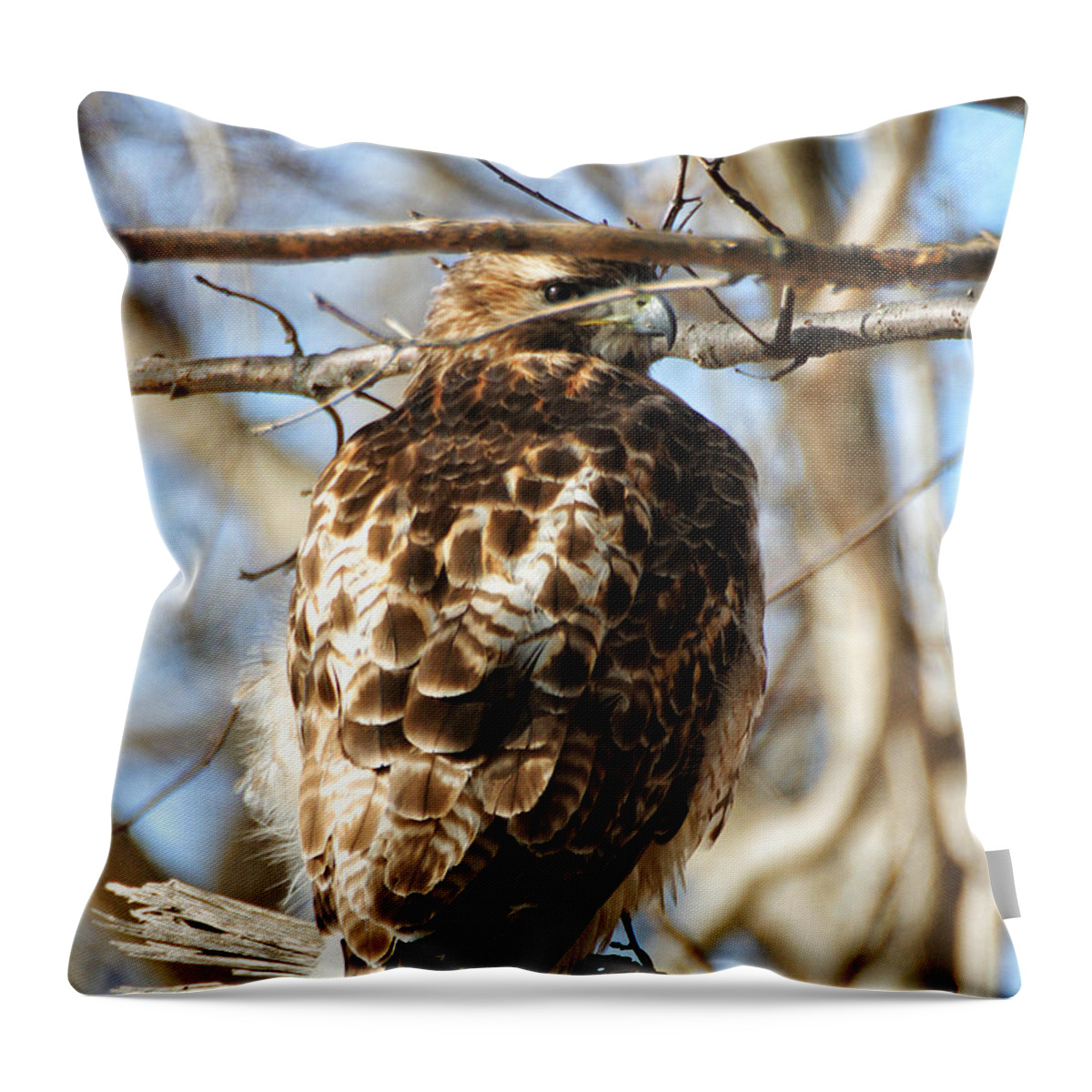 Wildlife Throw Pillow featuring the photograph Peeking Through the Branches by William Selander