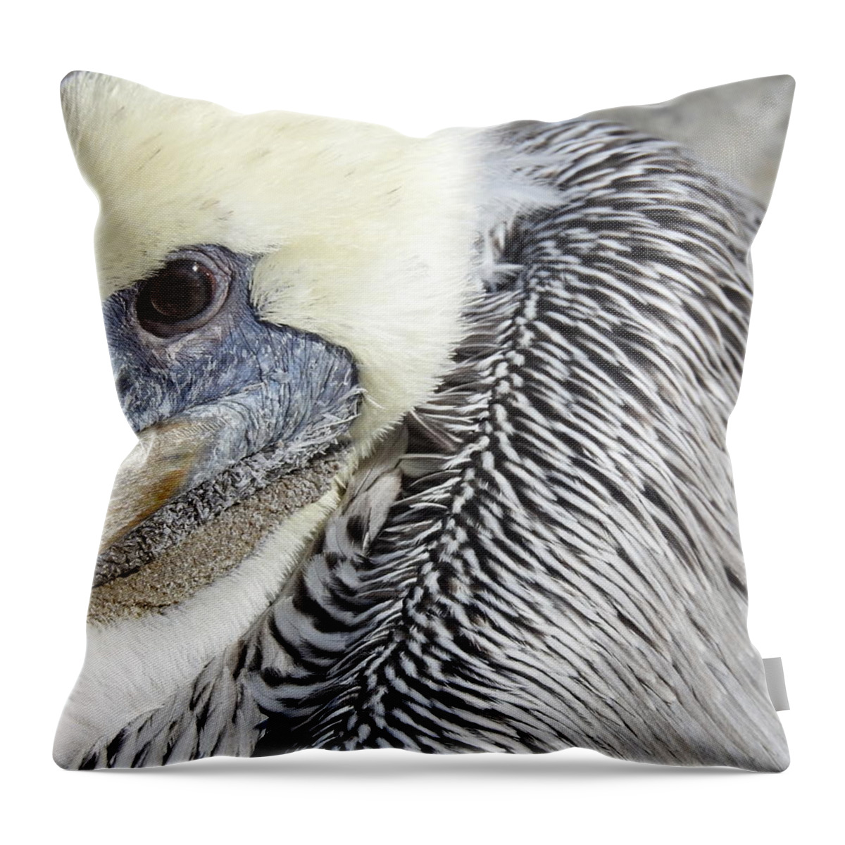 Pelican Throw Pillow featuring the photograph Pelican Alert by Jan Gelders