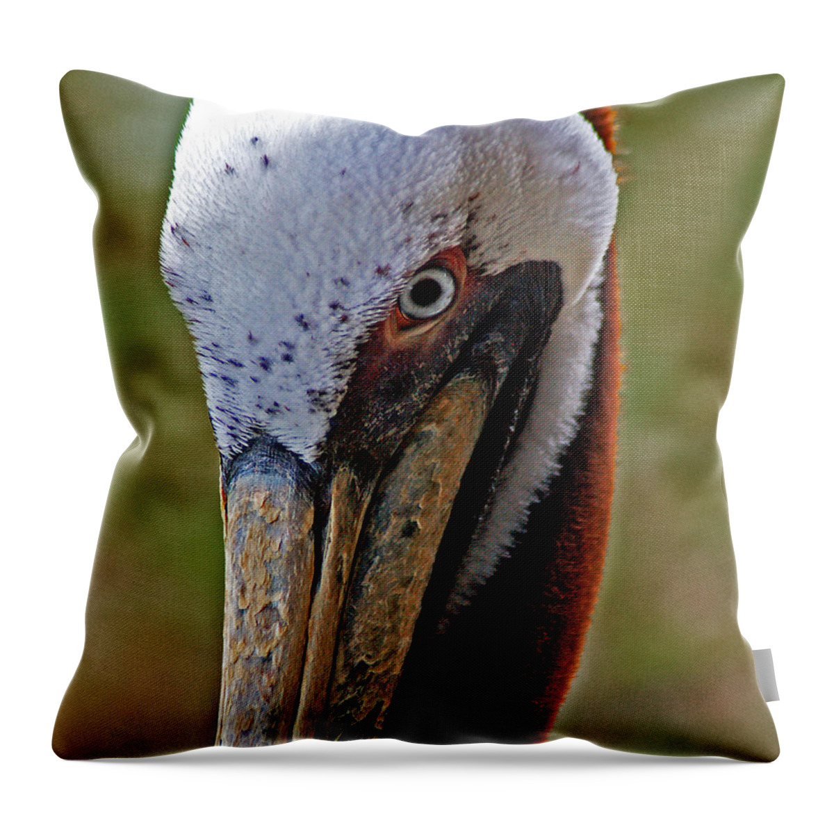 Pelican Throw Pillow featuring the painting Pelican Head by Michael Thomas