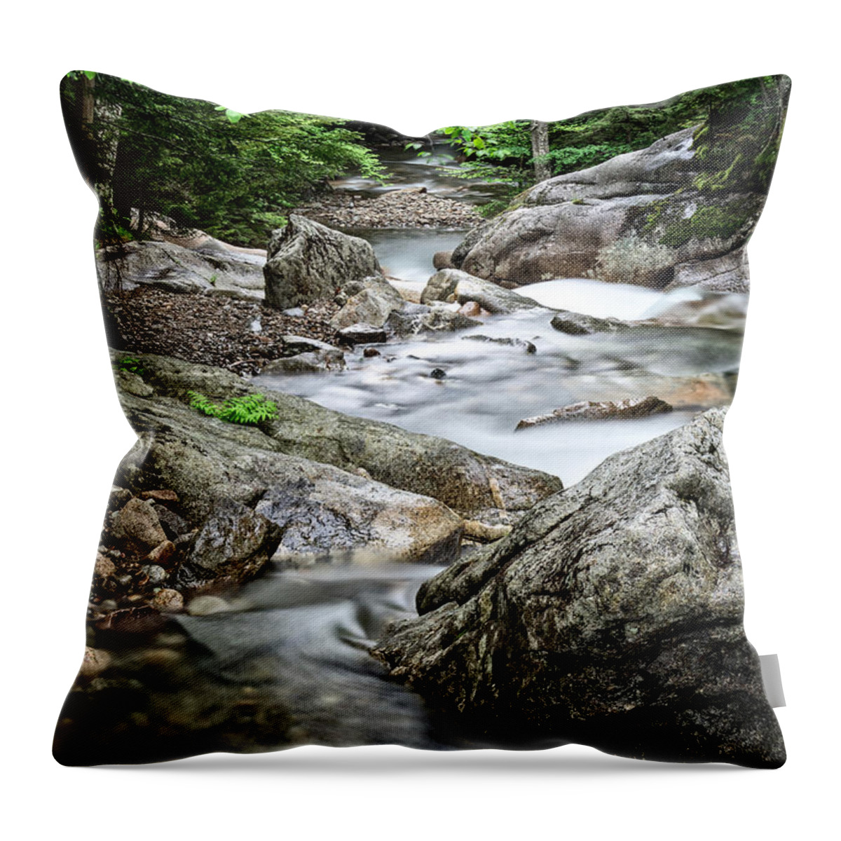 The Pemi Throw Pillow featuring the photograph Pemigewasset River NH by Michael Hubley