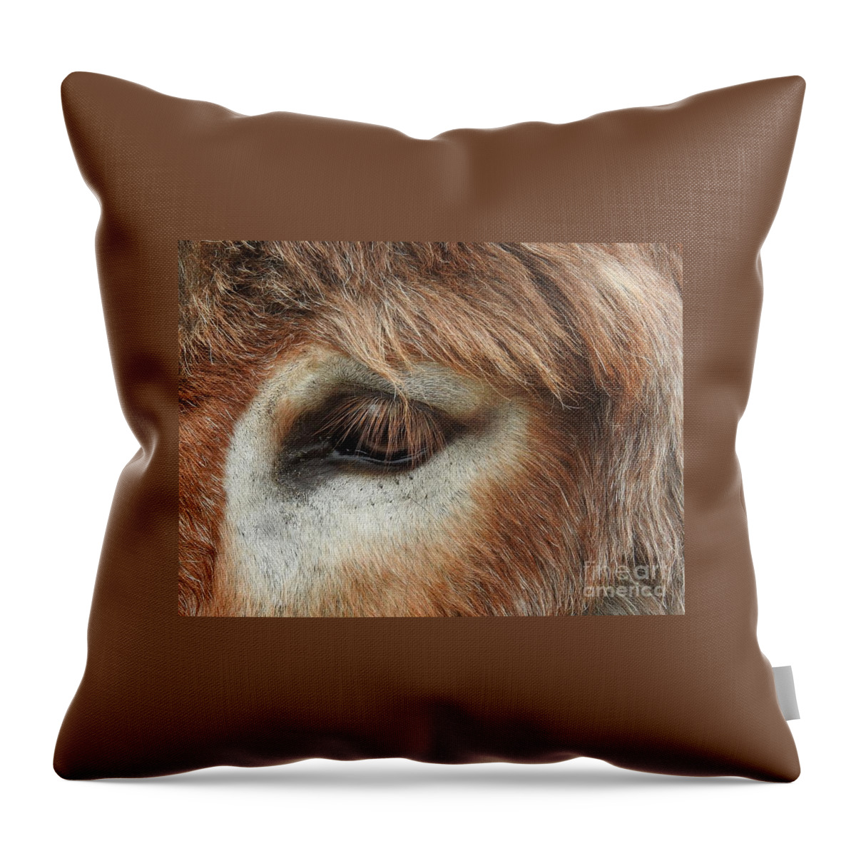 Donkey Throw Pillow featuring the photograph Perception by Jan Gelders