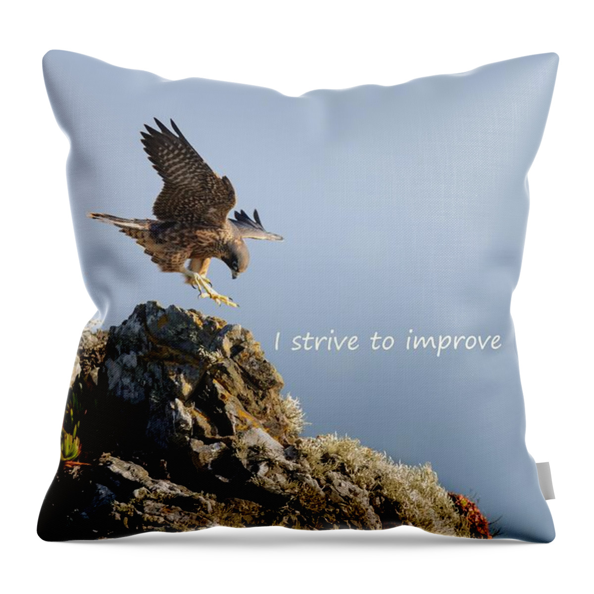  Throw Pillow featuring the photograph Peregrine Falcon says I Strive to Improve by Sherry Clark