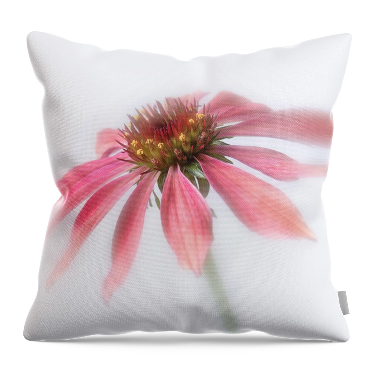 Bloom Throw Pillow featuring the photograph Perennial cone flower. by Usha Peddamatham