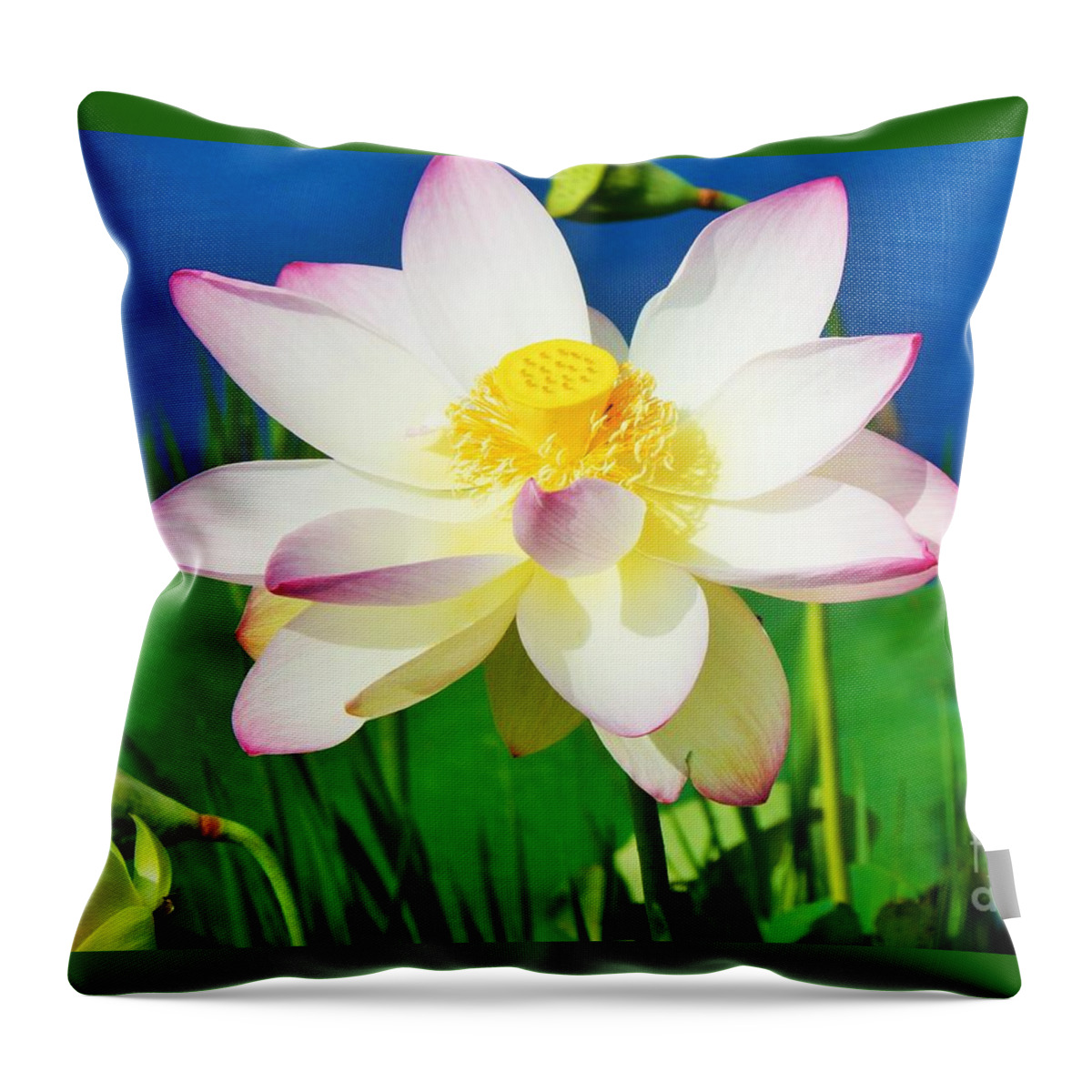 Flower Throw Pillow featuring the photograph Perfect Lily by Jan Gelders