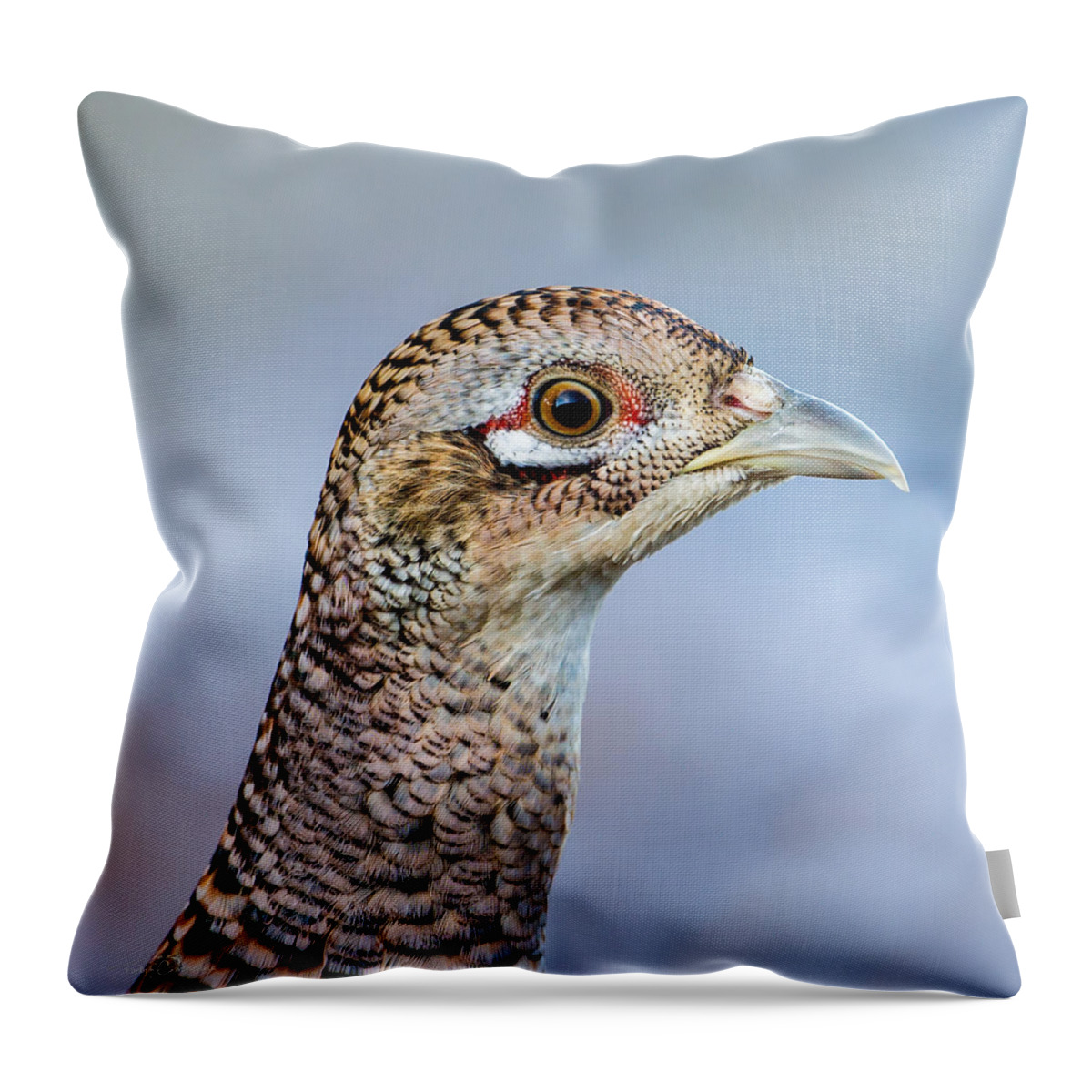 Pheasant Hen Throw Pillow featuring the photograph Pheasant Hen by Torbjorn Swenelius