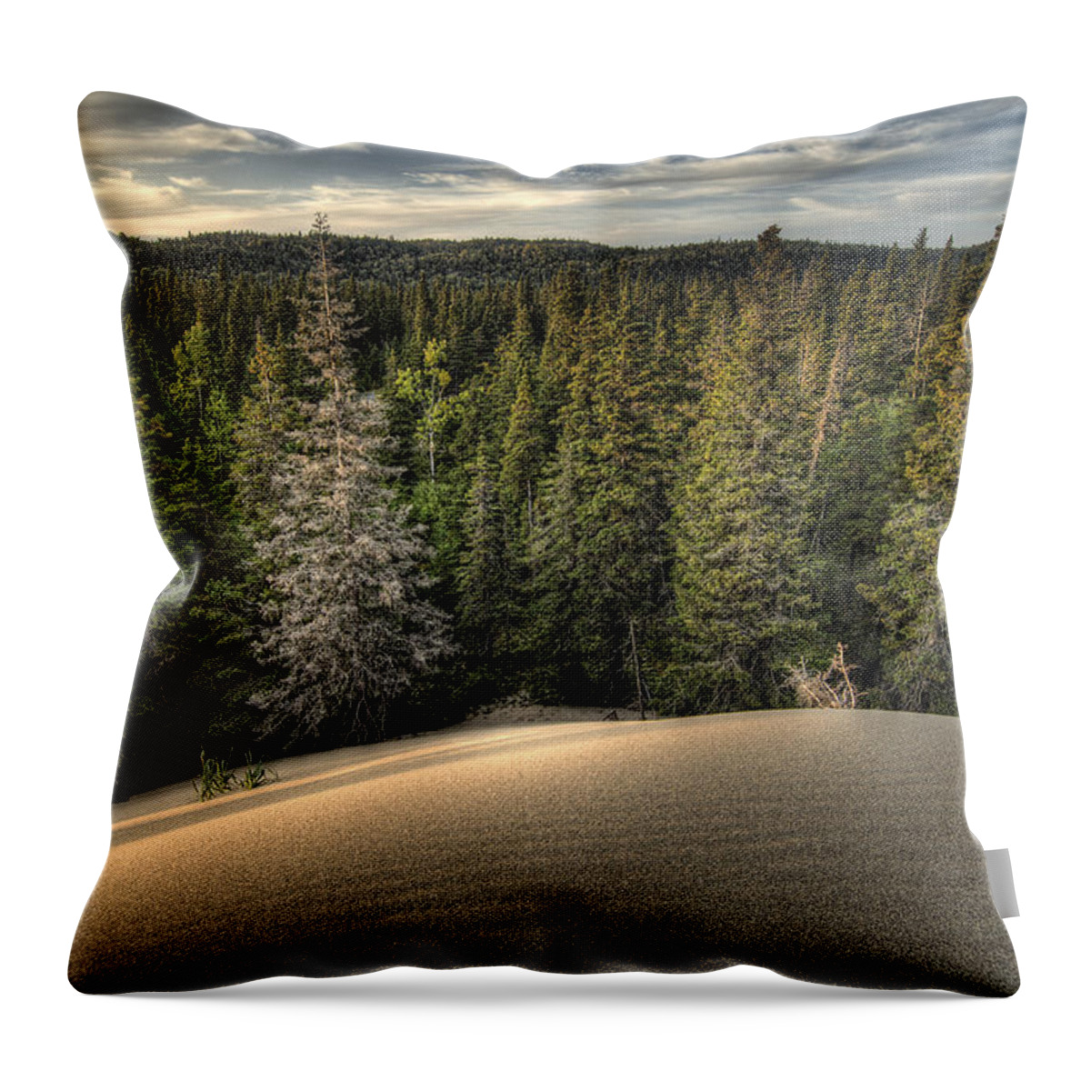 Lake Superior Throw Pillow featuring the photograph Pic Dunes  by Doug Gibbons