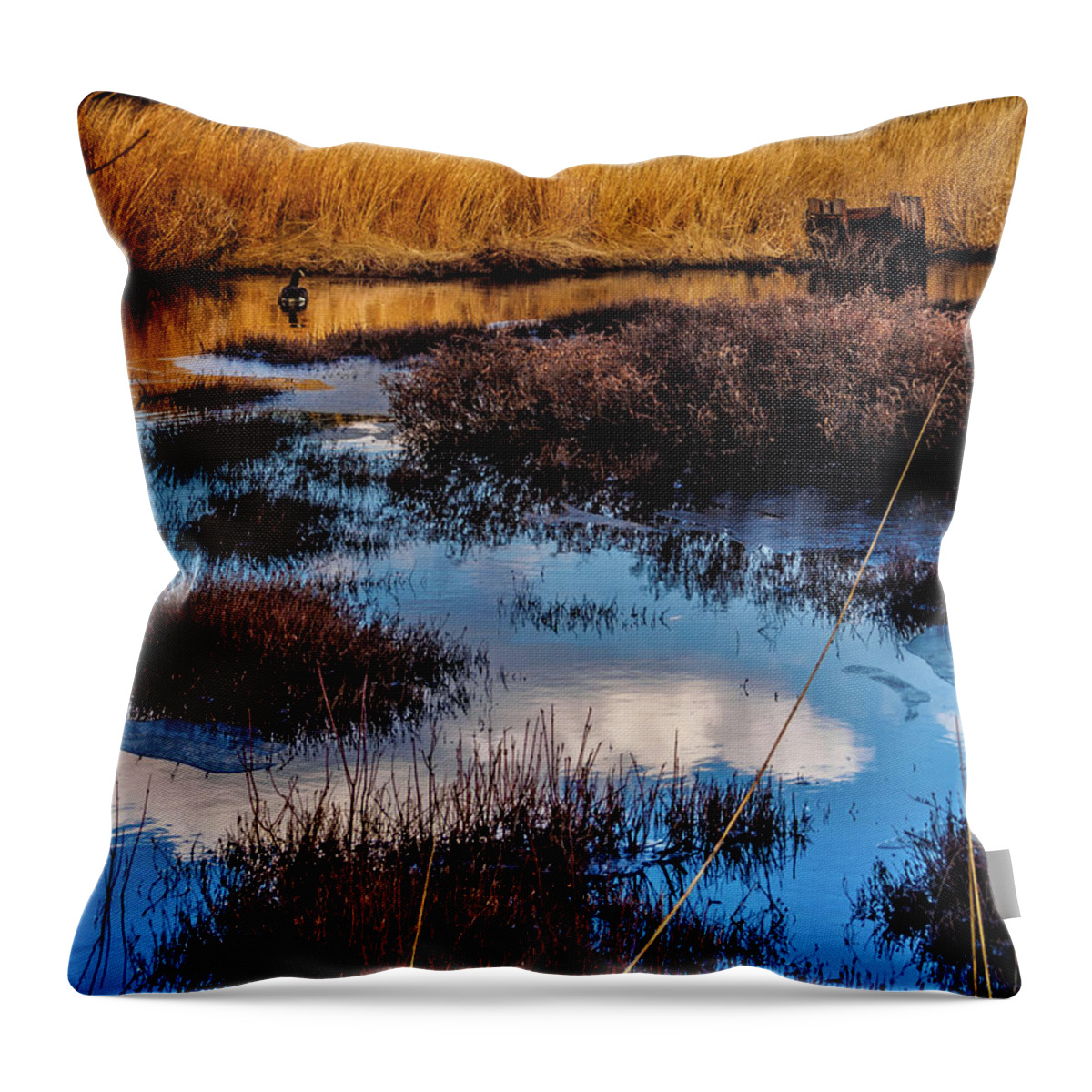 Landscape Throw Pillow featuring the photograph Pineland Cloud Reflections by Louis Dallara