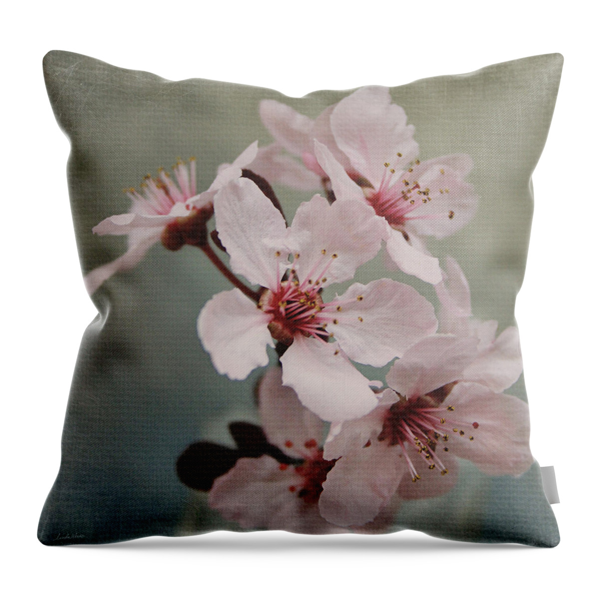 Flowers Throw Pillow featuring the mixed media Pink Blossoms 2- Art by Linda Woods by Linda Woods