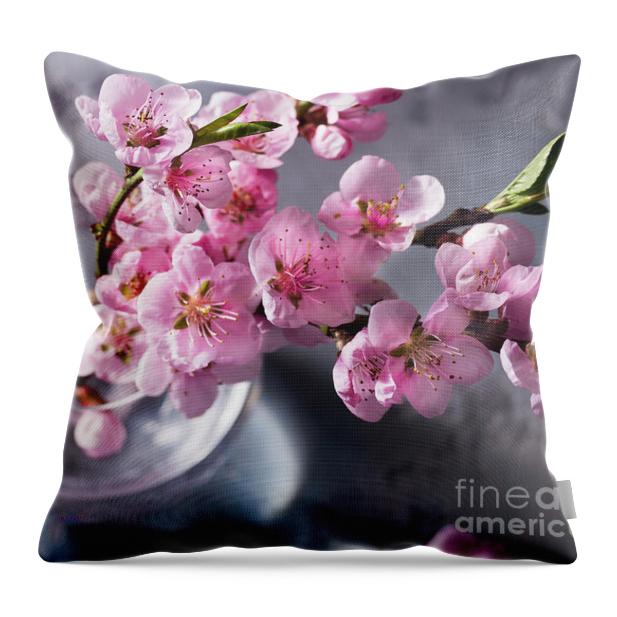 Cherry Throw Pillow featuring the photograph Pink Cherry Blossom by Anastasy Yarmolovich