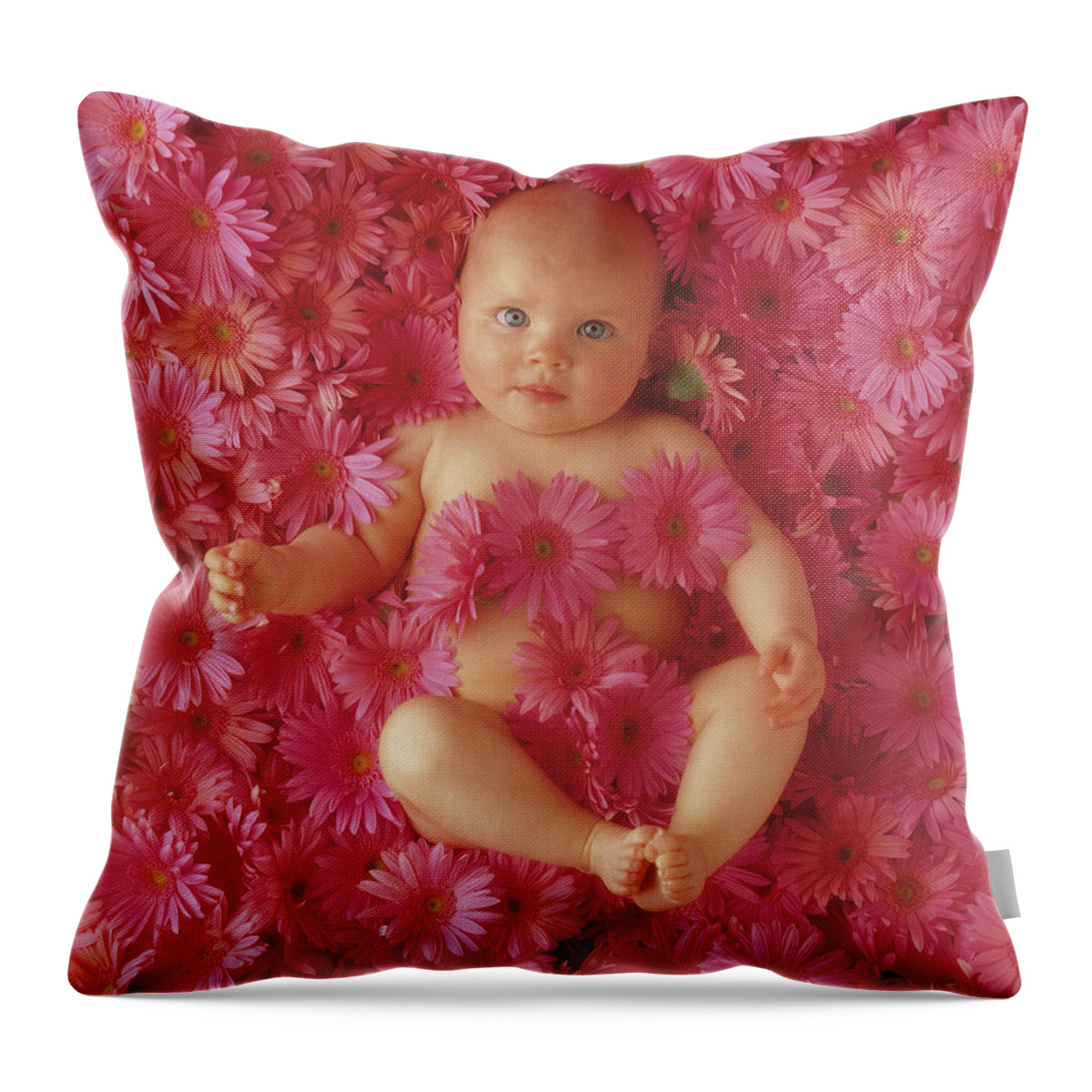 Daisies Throw Pillow featuring the photograph Pink Daisies by Anne Geddes