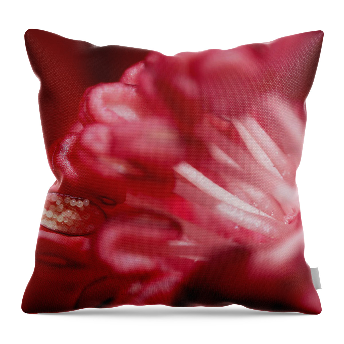 Flower Throw Pillow featuring the photograph Pink Delight by Robert Och