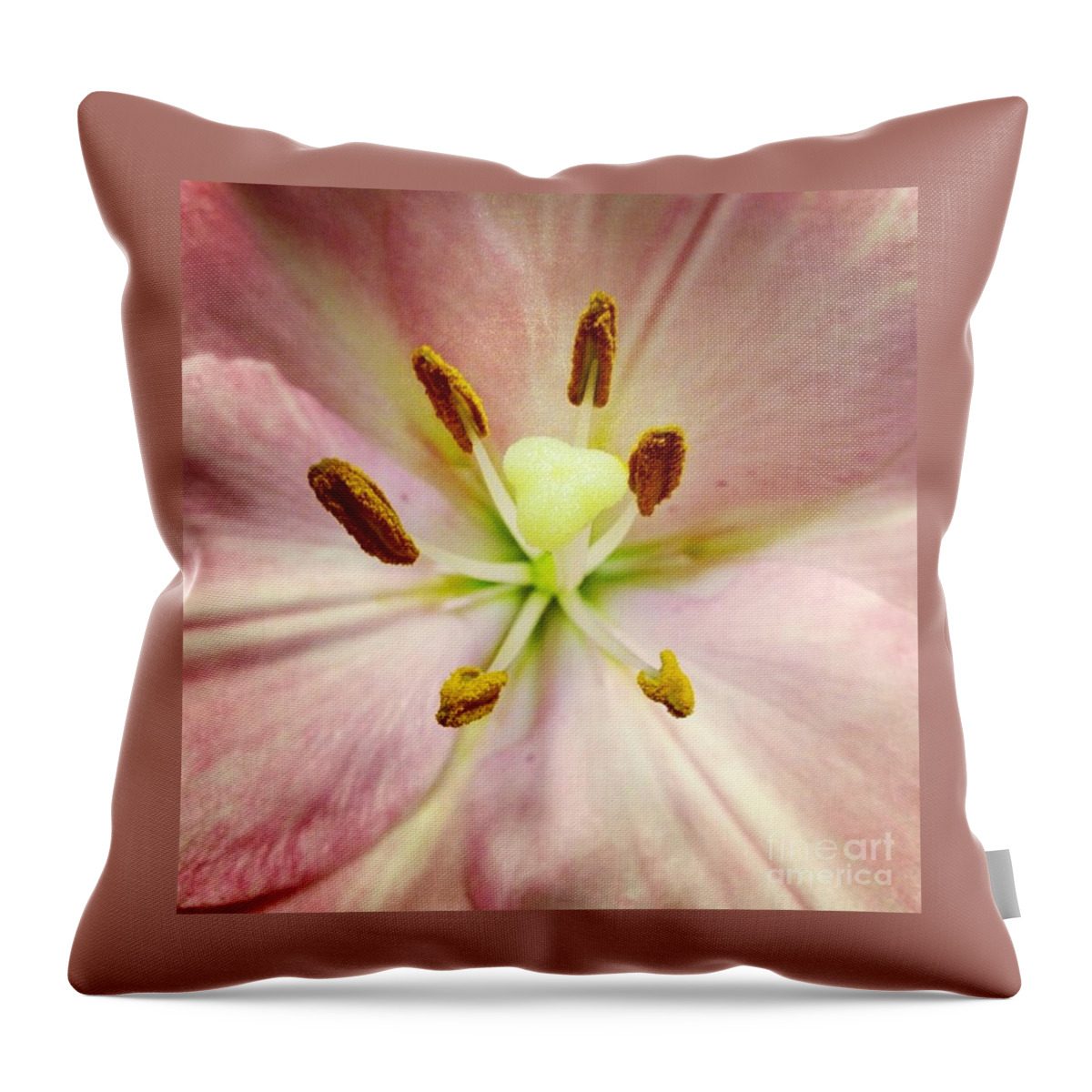 Lily Throw Pillow featuring the photograph Pink by Denise Railey