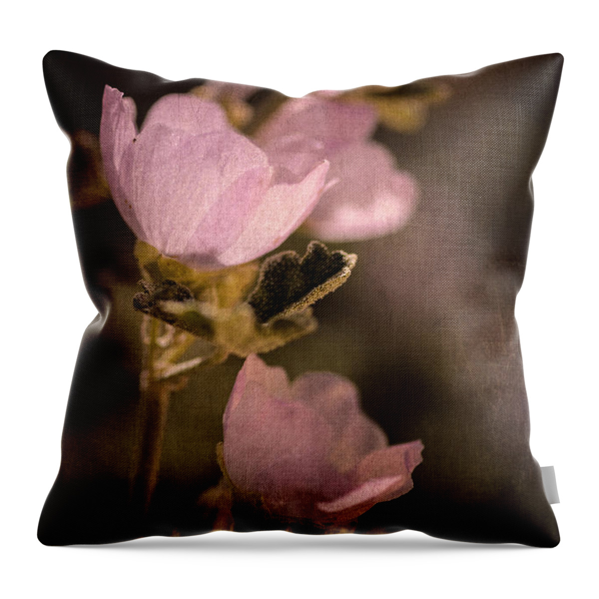 Globemallow Throw Pillow featuring the photograph Pink Globemallow Wildflowers by Tamara Becker