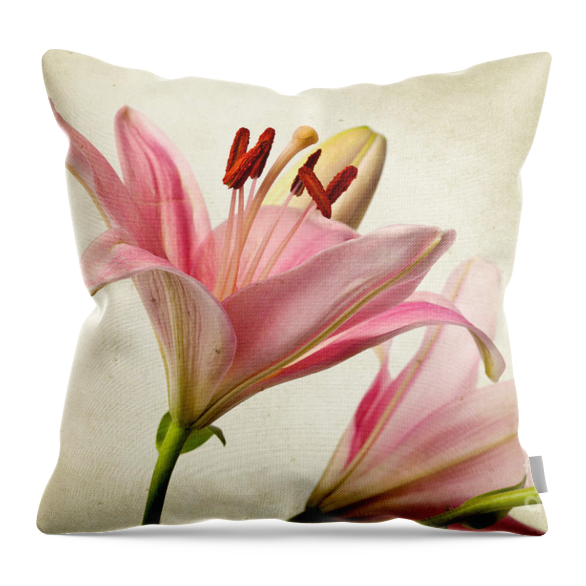 Lily Throw Pillow featuring the photograph Pink Lilies by Nailia Schwarz